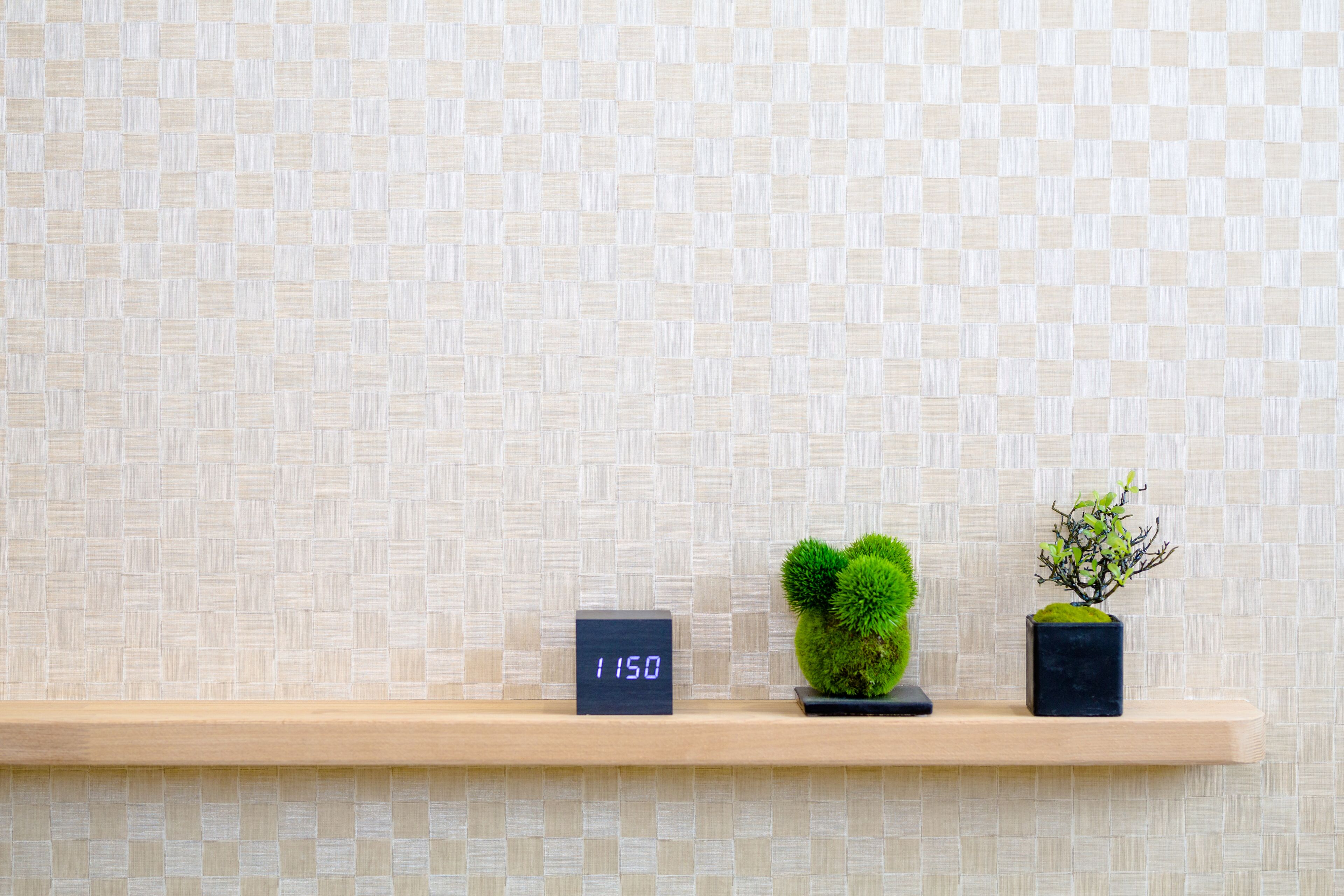 Fuji Akatsuki Kuu Fuji Akatsuki Kuu