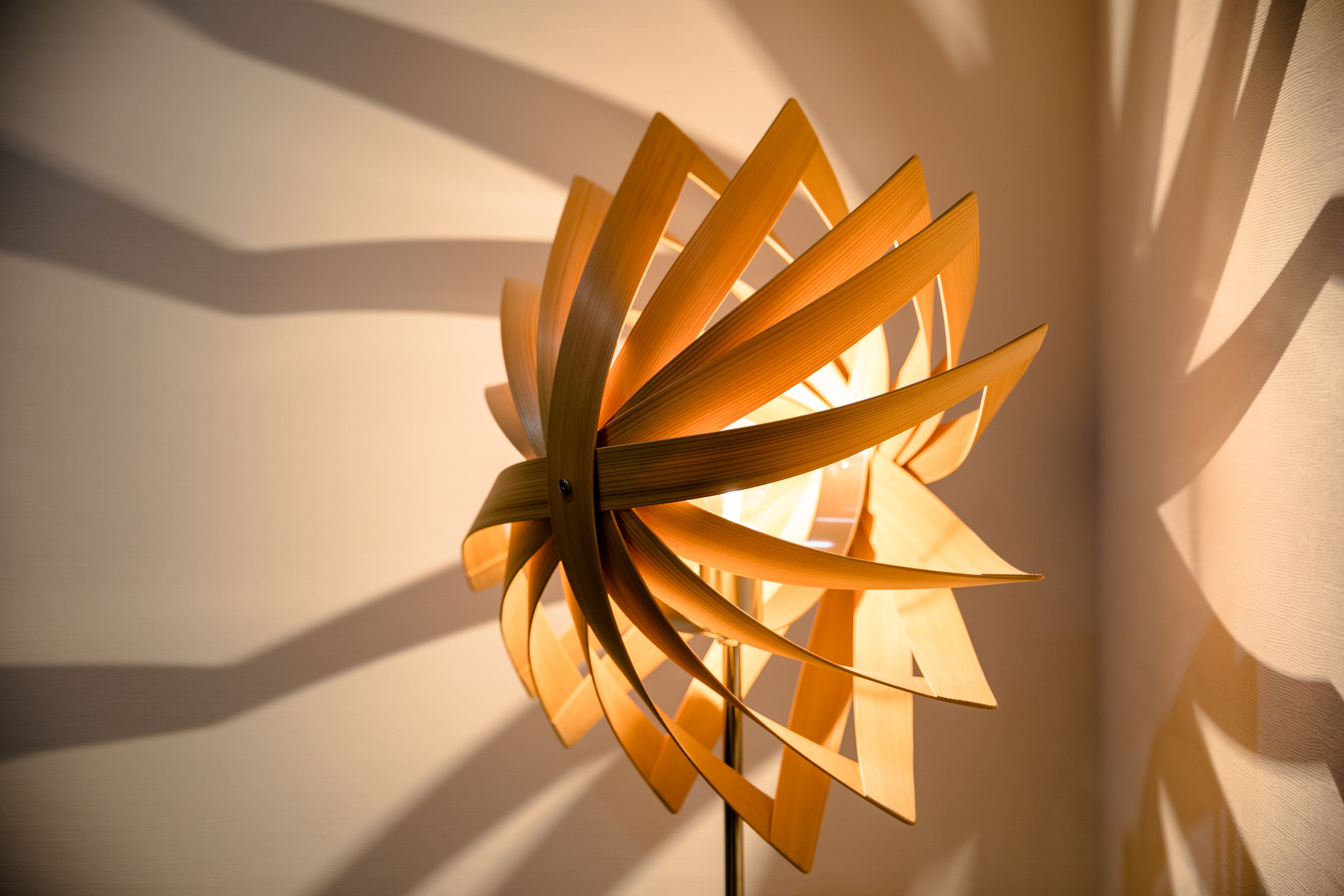 Fuji Akatsuki Kuu Fuji Akatsuki Kuu