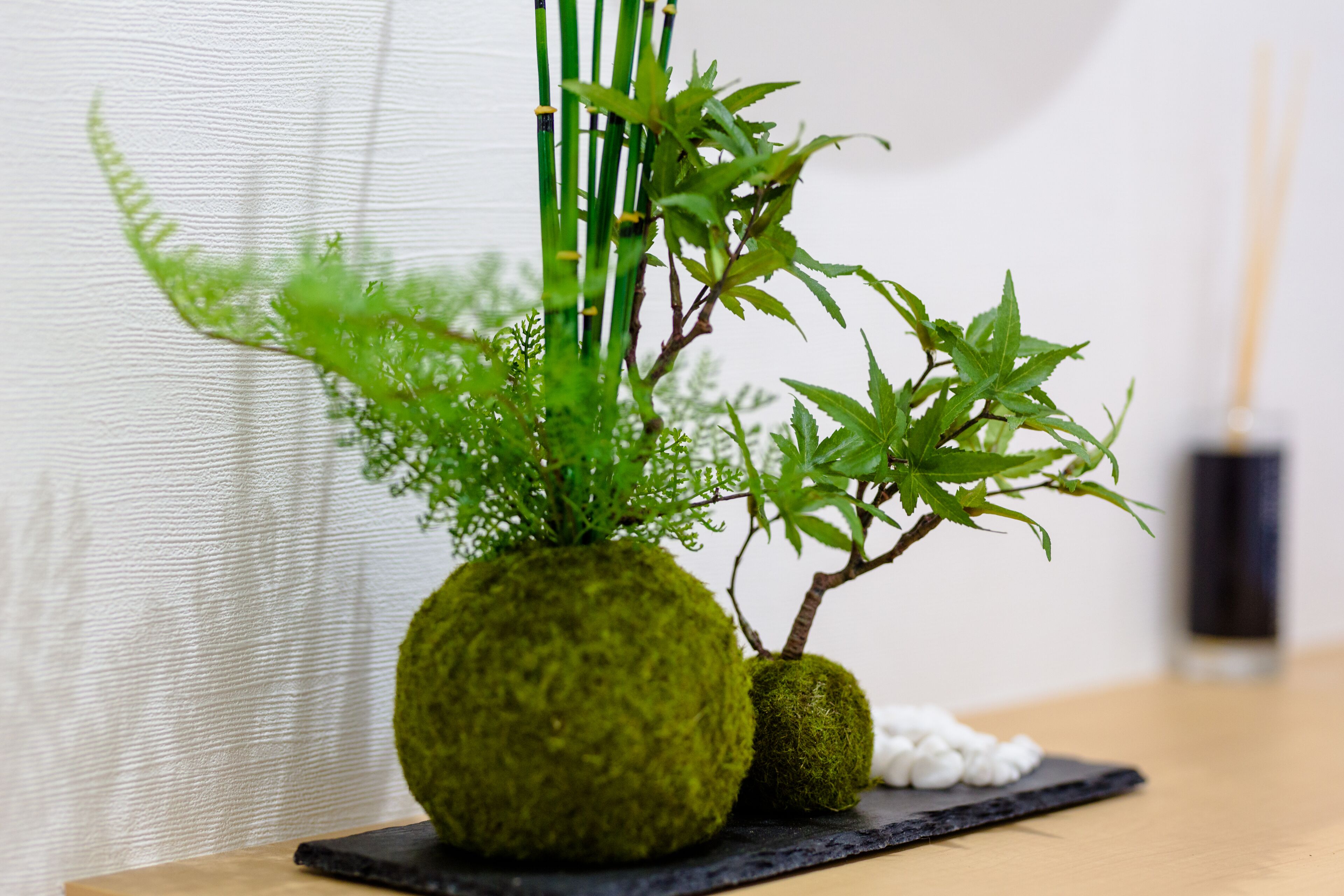 Fuji Akatsuki Kuu Fuji Akatsuki Kuu