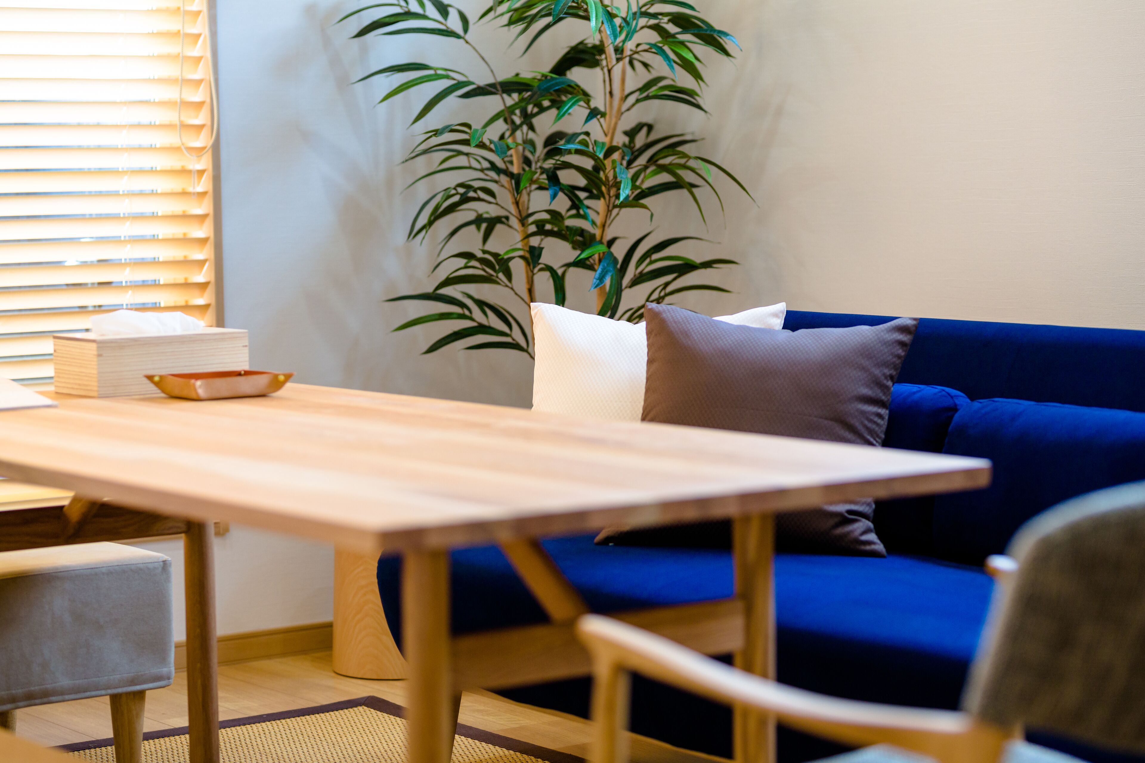 Fuji Akatsuki Kuu Fuji Akatsuki Kuu