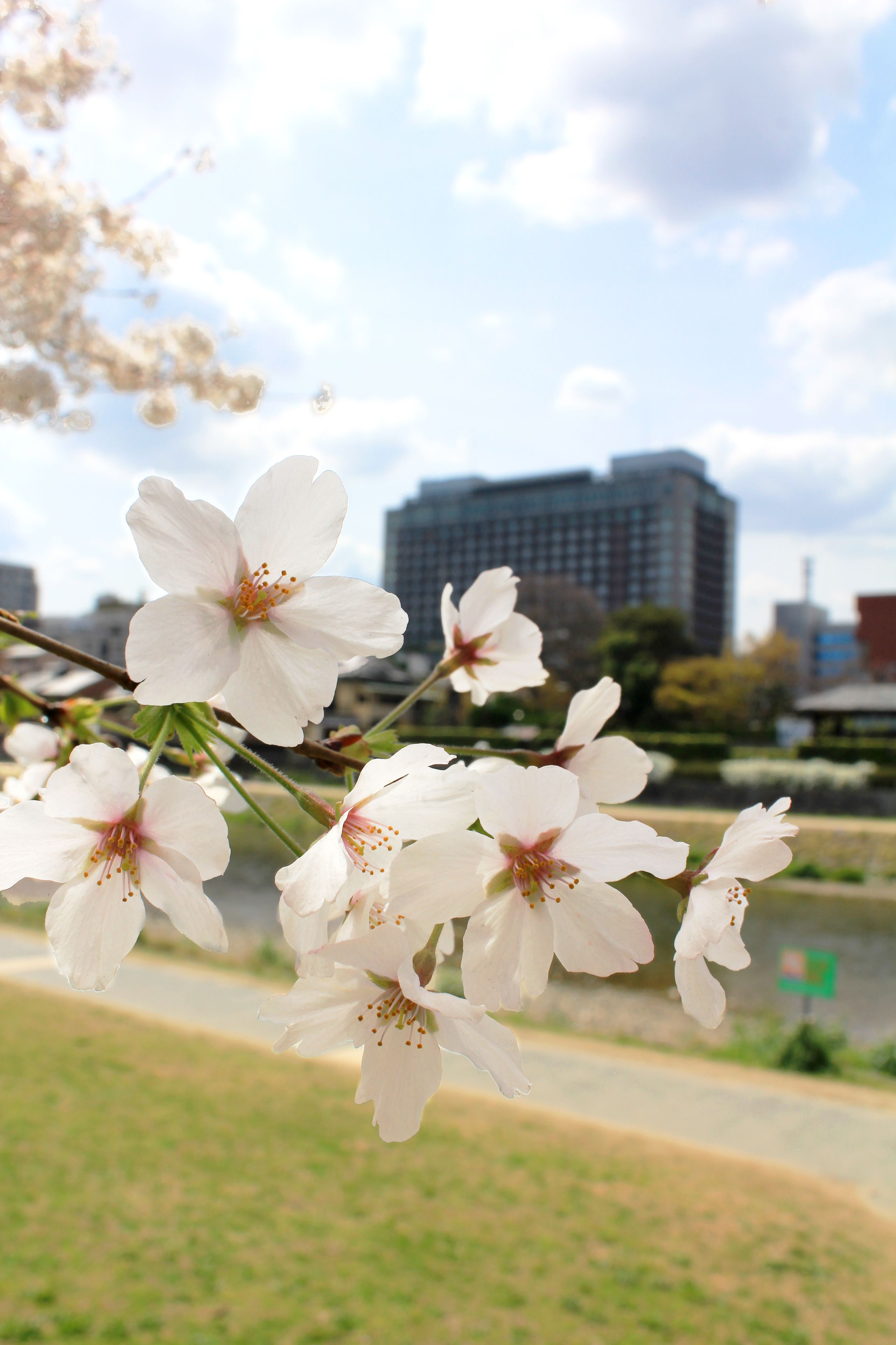 Kyoto Hotel Okura Kyoto Hotel Okura