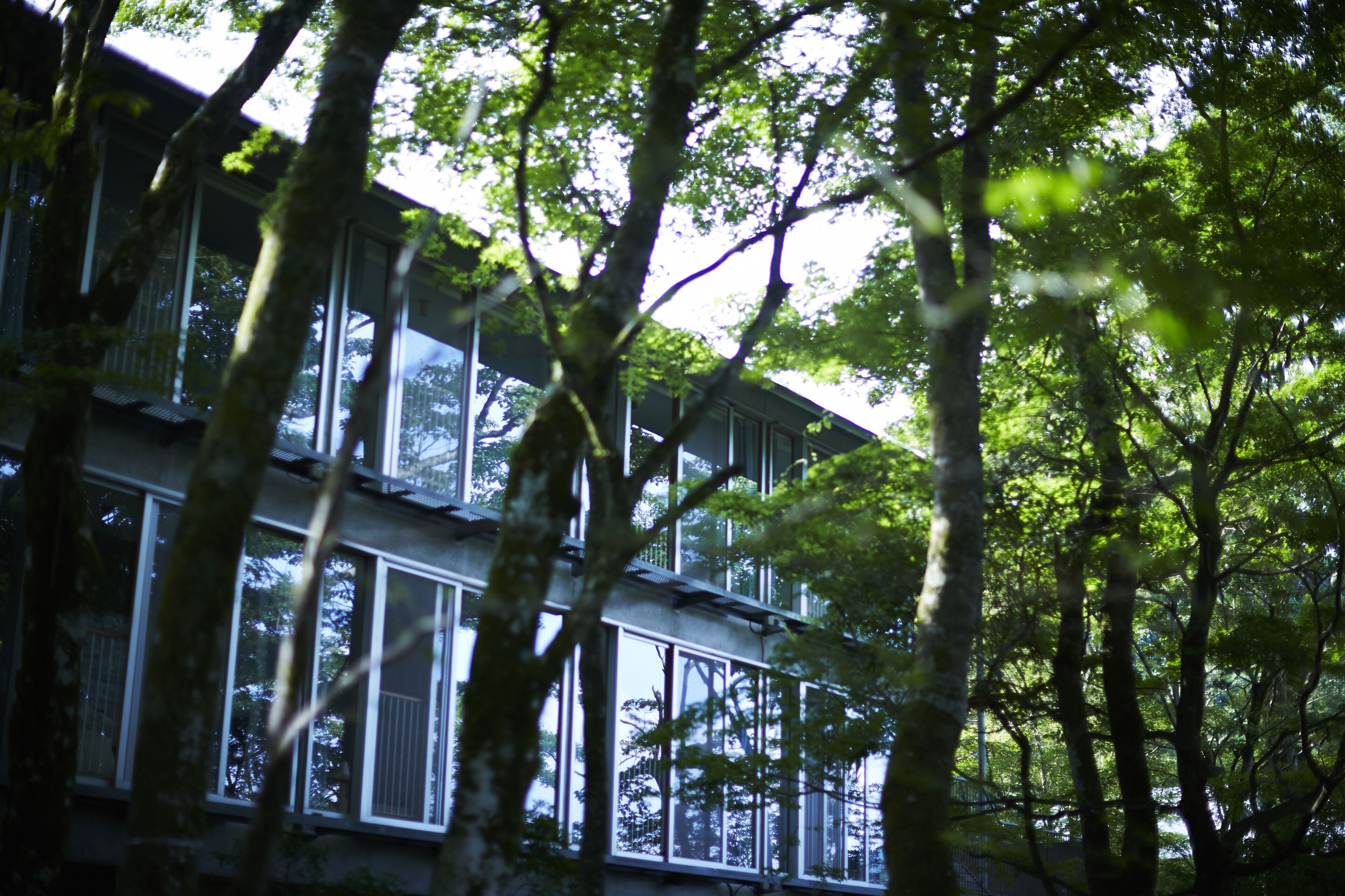 Hakone Retreat Före Hakone Retreat Före