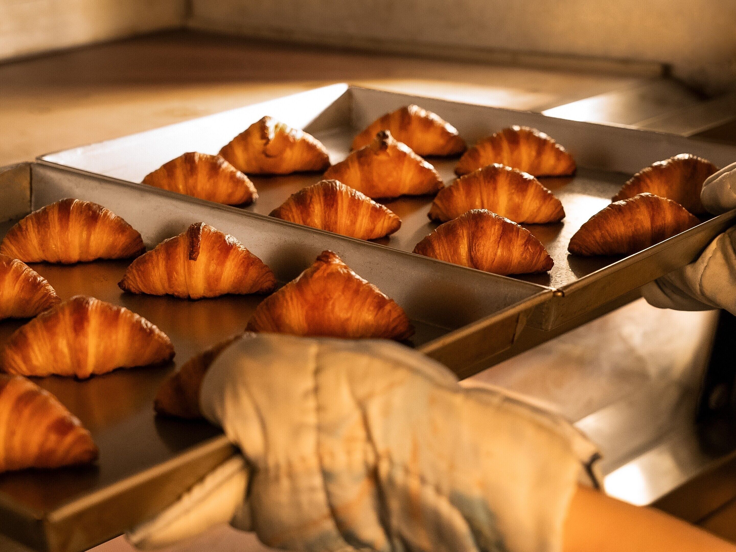 Hakone Retreat Före Hakone Retreat Före