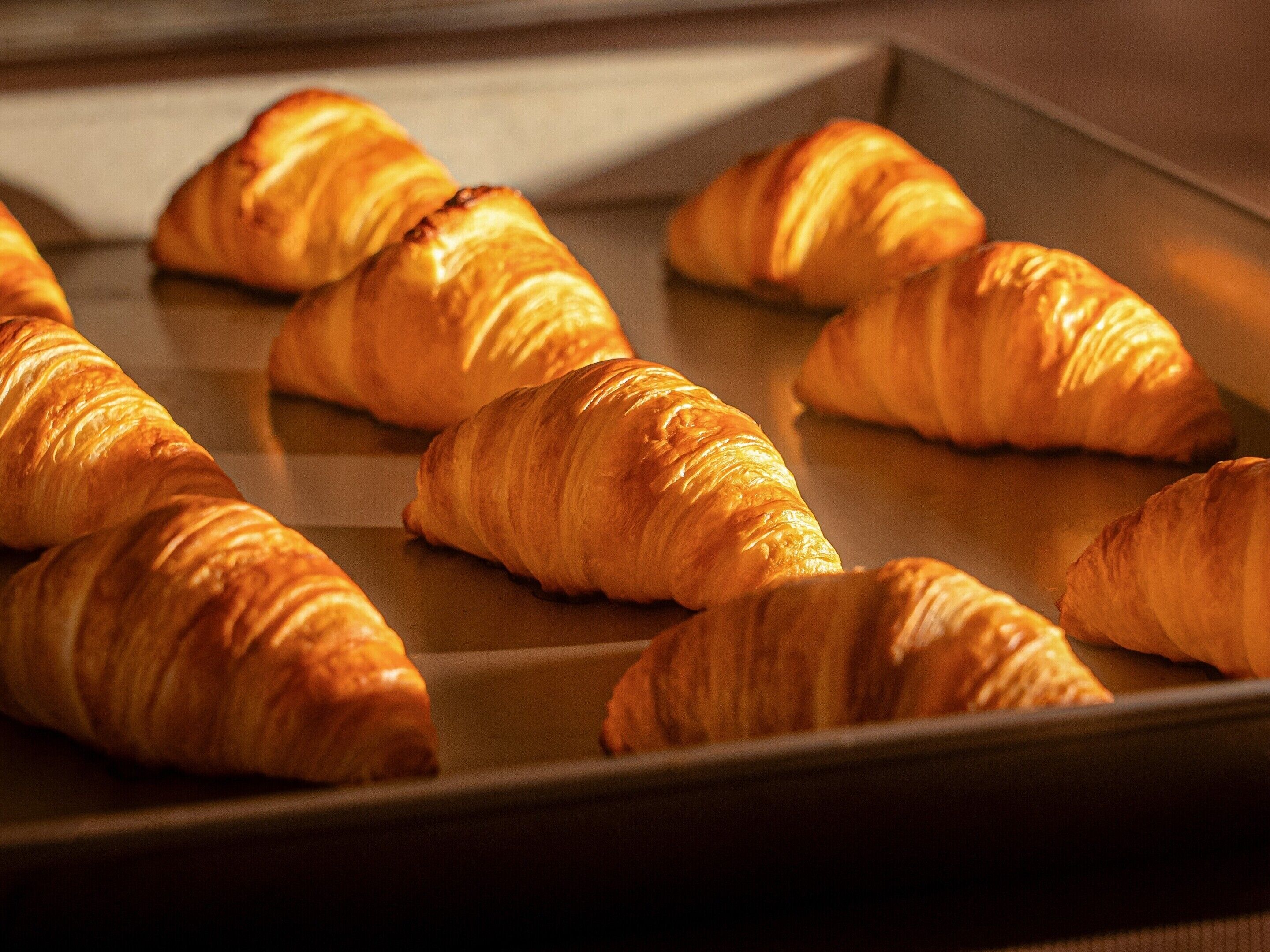 Hakone Retreat Före Hakone Retreat Före