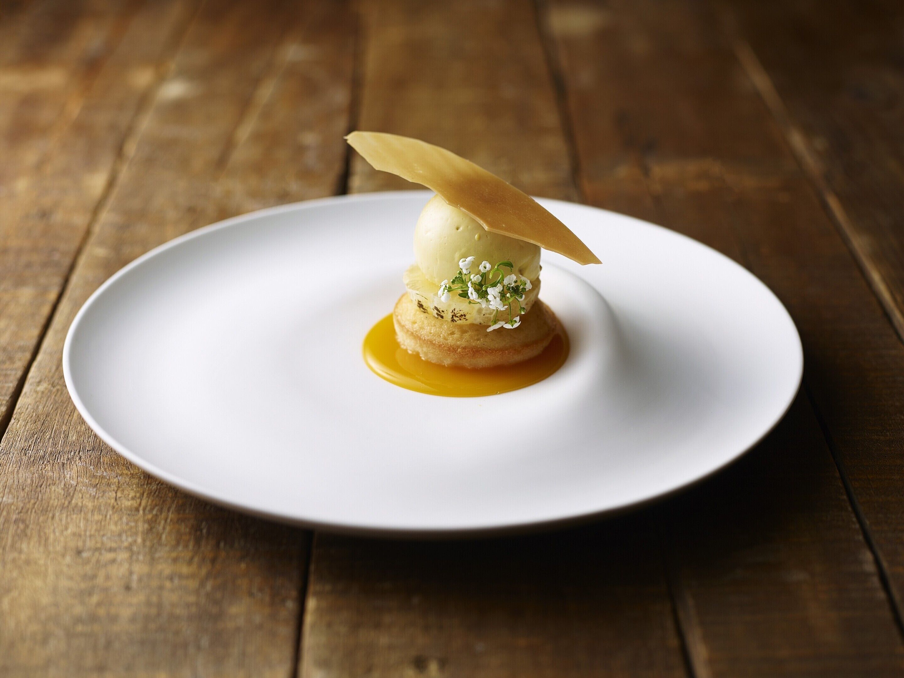 Hakone Retreat Före Hakone Retreat Före