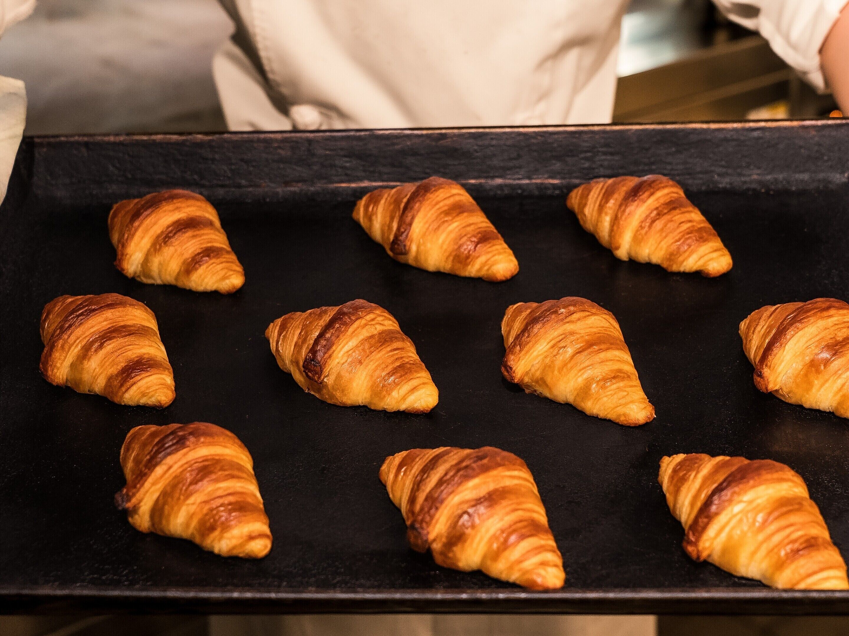 Hakone Retreat Före Hakone Retreat Före