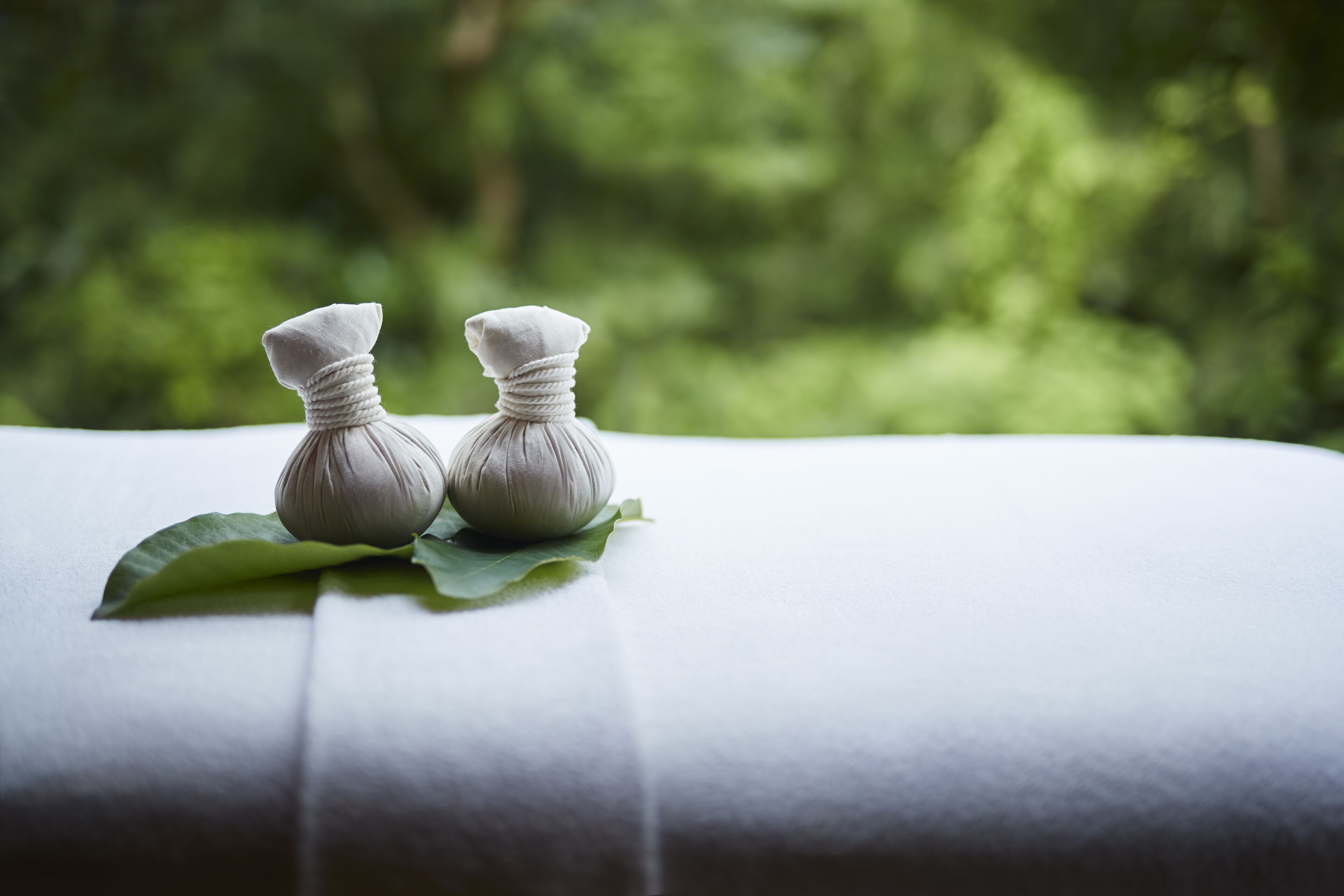 Hakone Retreat Före Hakone Retreat Före