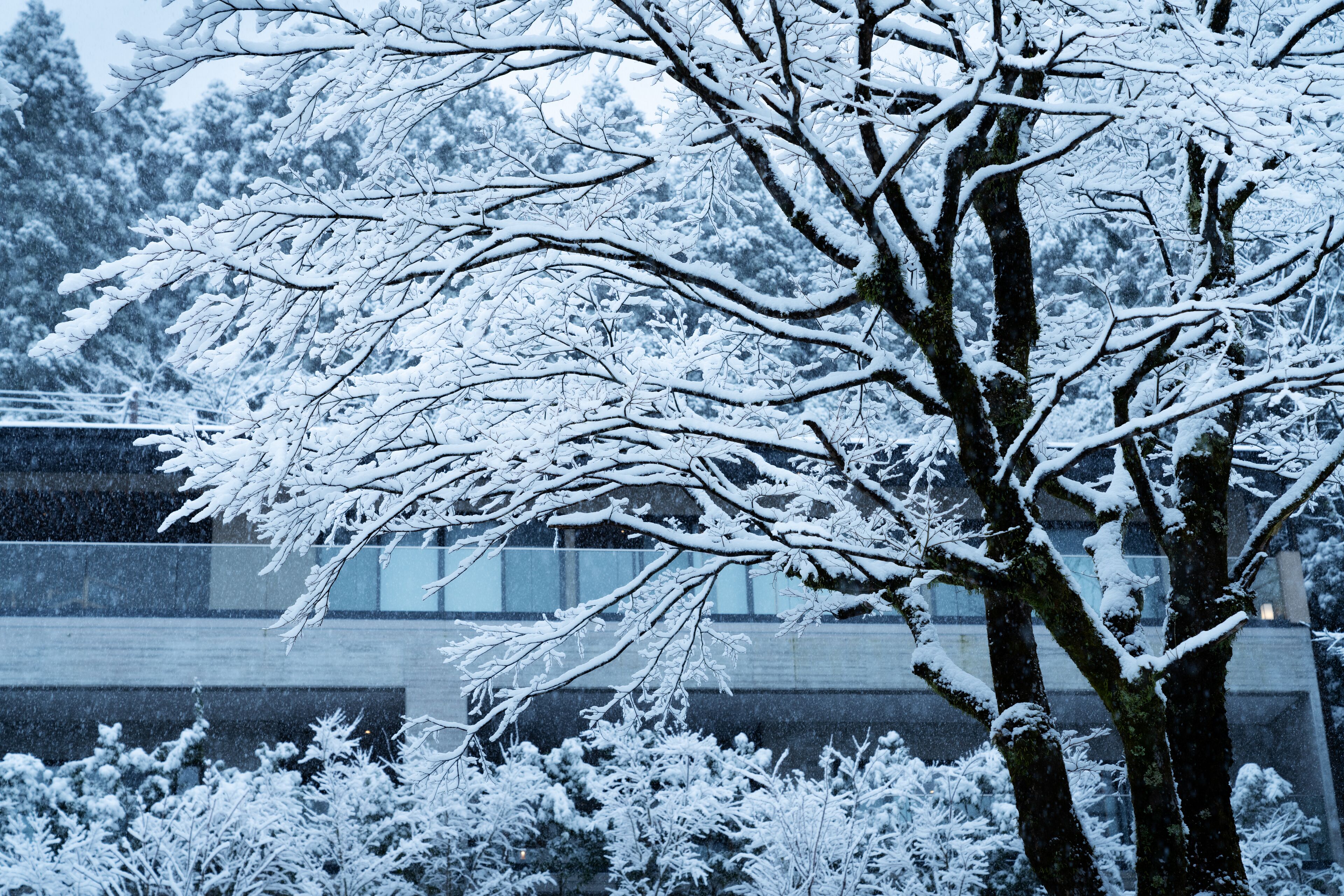 Hoshino Resorts Kai Sengokuhara