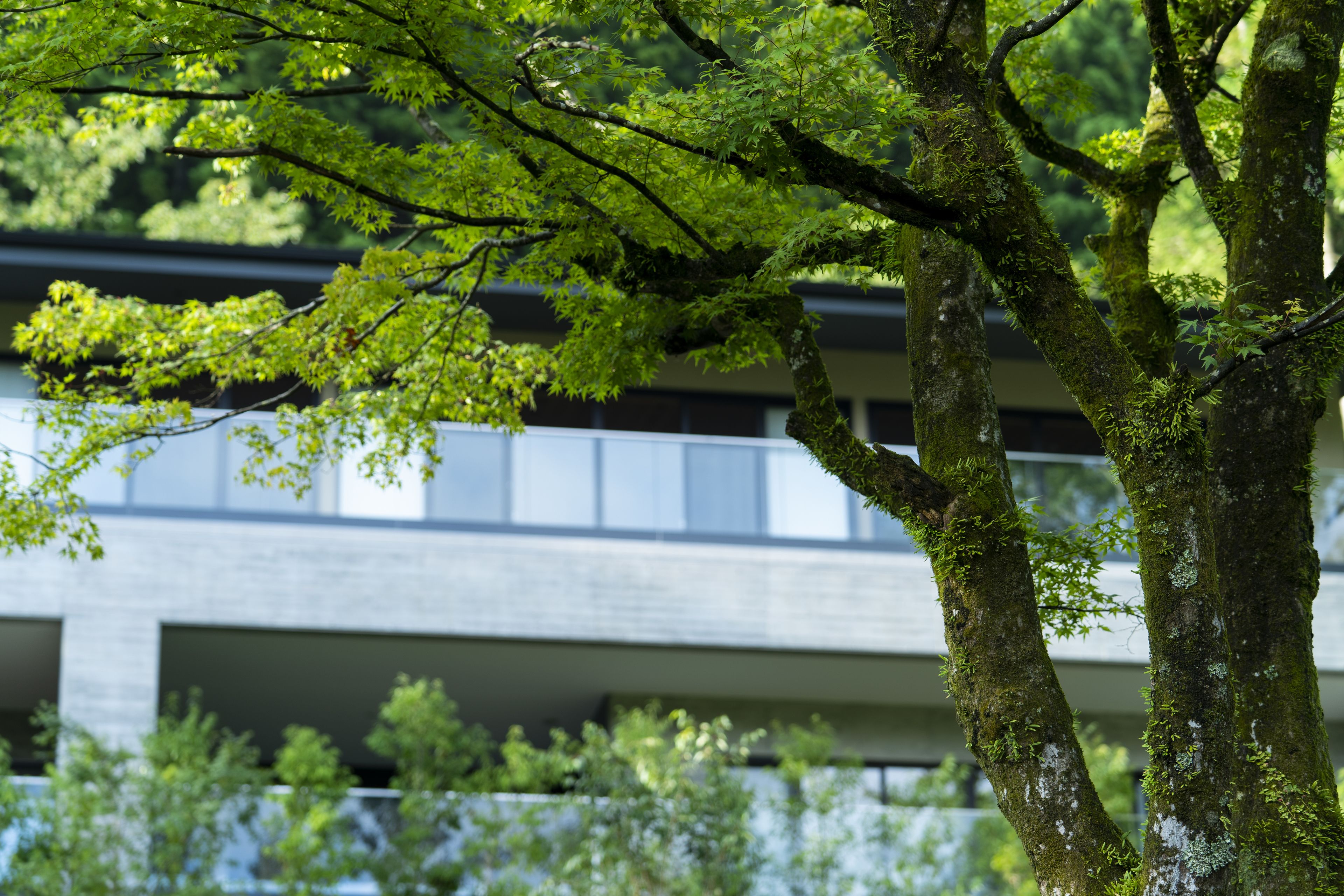 Hoshino Resorts Kai Sengokuhara