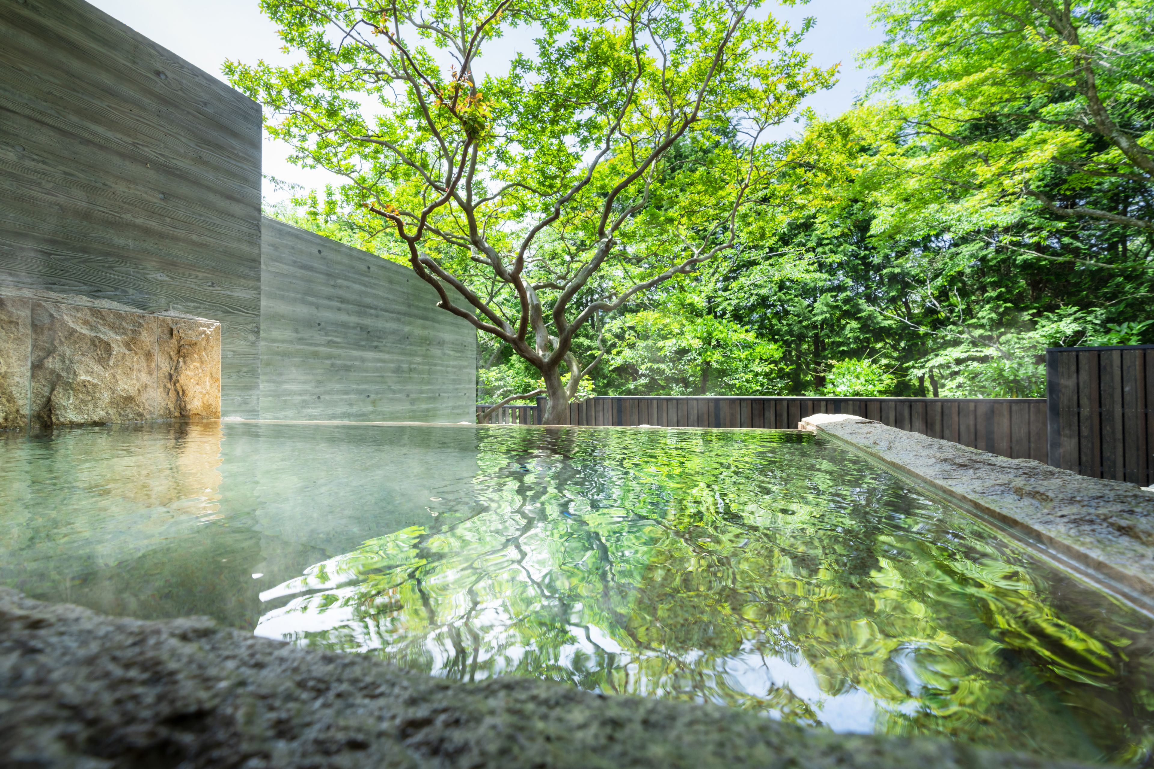 Hoshino Resorts Kai Sengokuhara