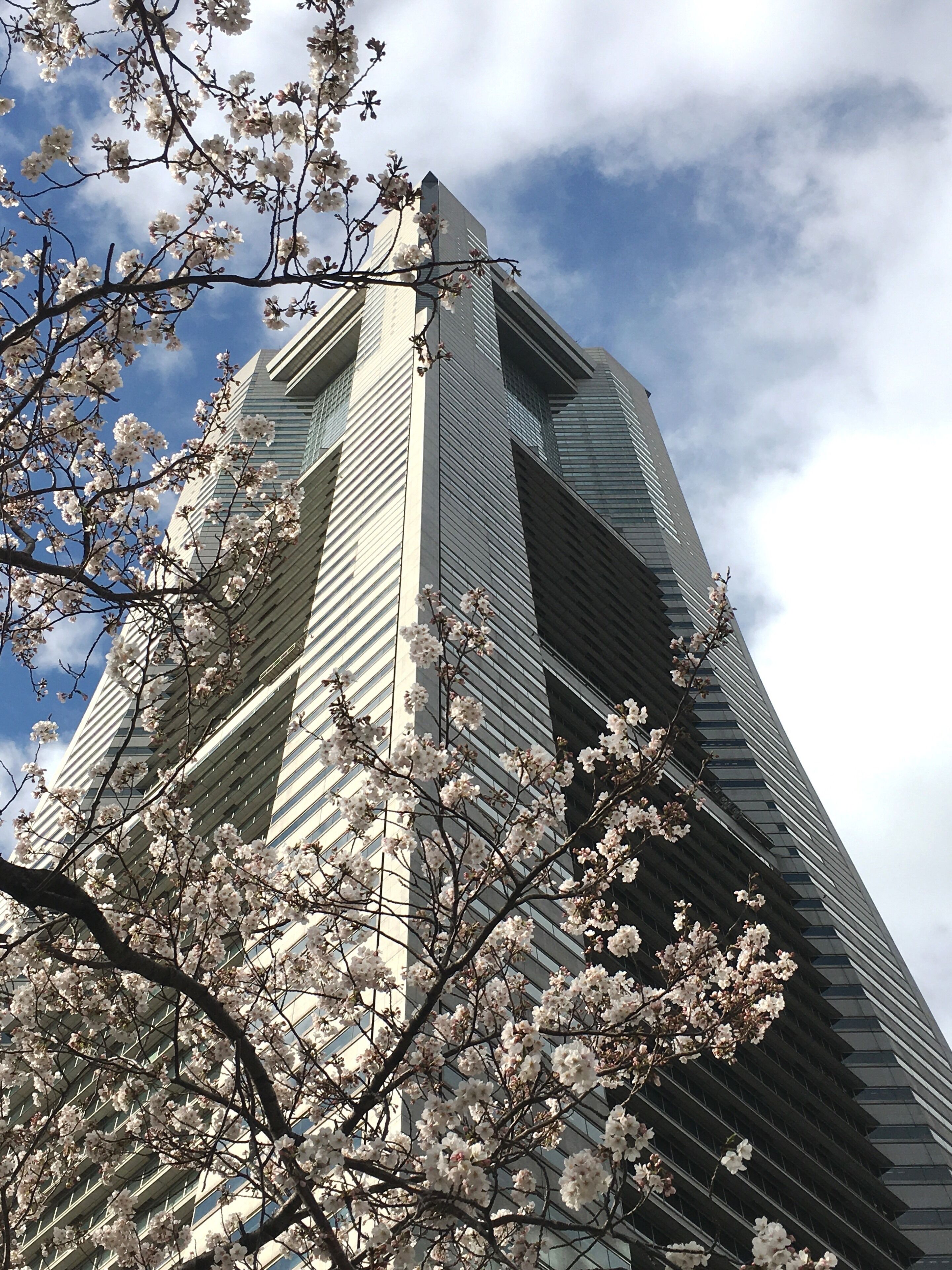 Yokohama Royal Park Hotel Yokohama Royal Park Hotel