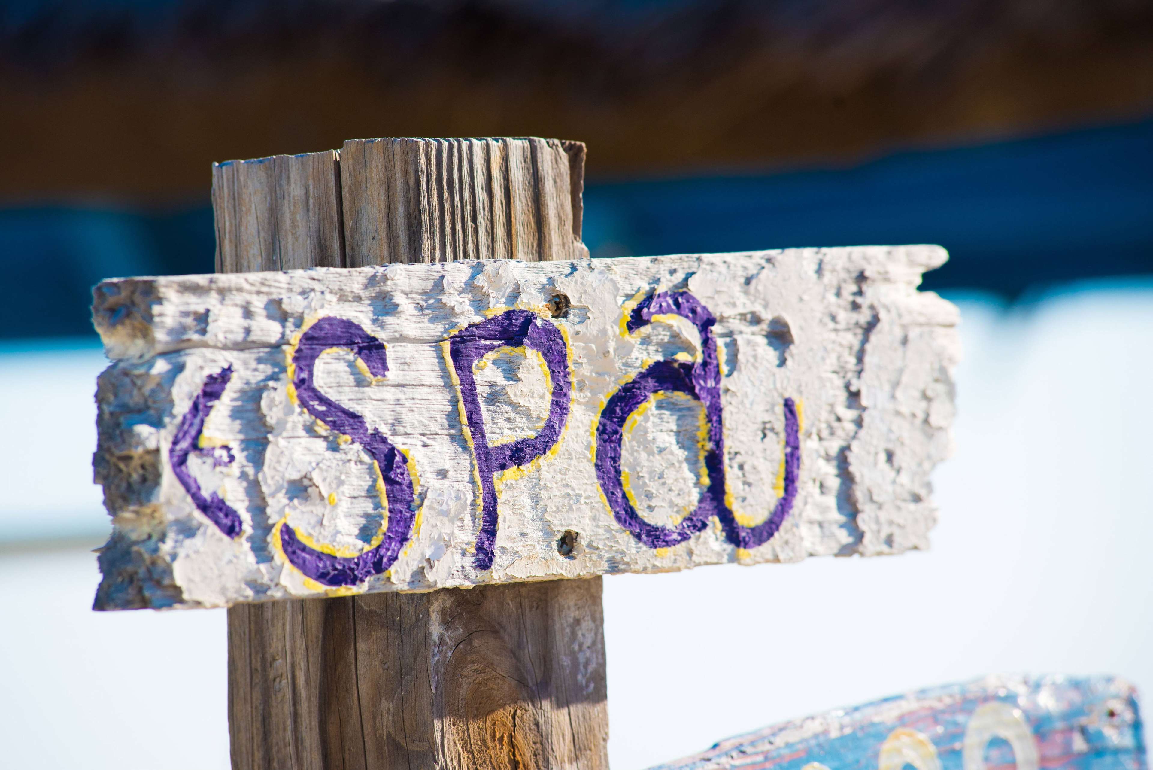 Wyndham Reef Resort Grand Cayman Wyndham Reef Resort Grand Cayman