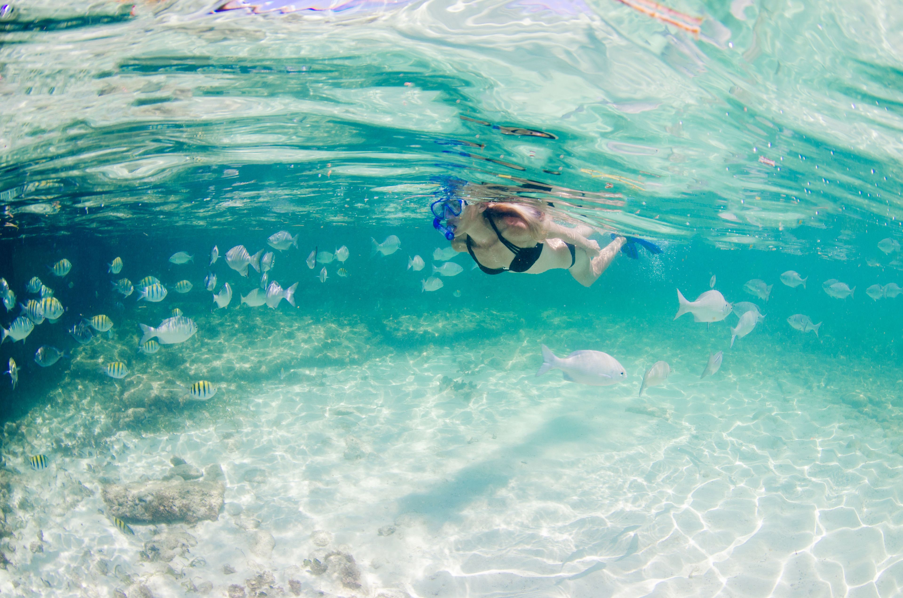 Wyndham Reef Resort Grand Cayman Wyndham Reef Resort Grand Cayman