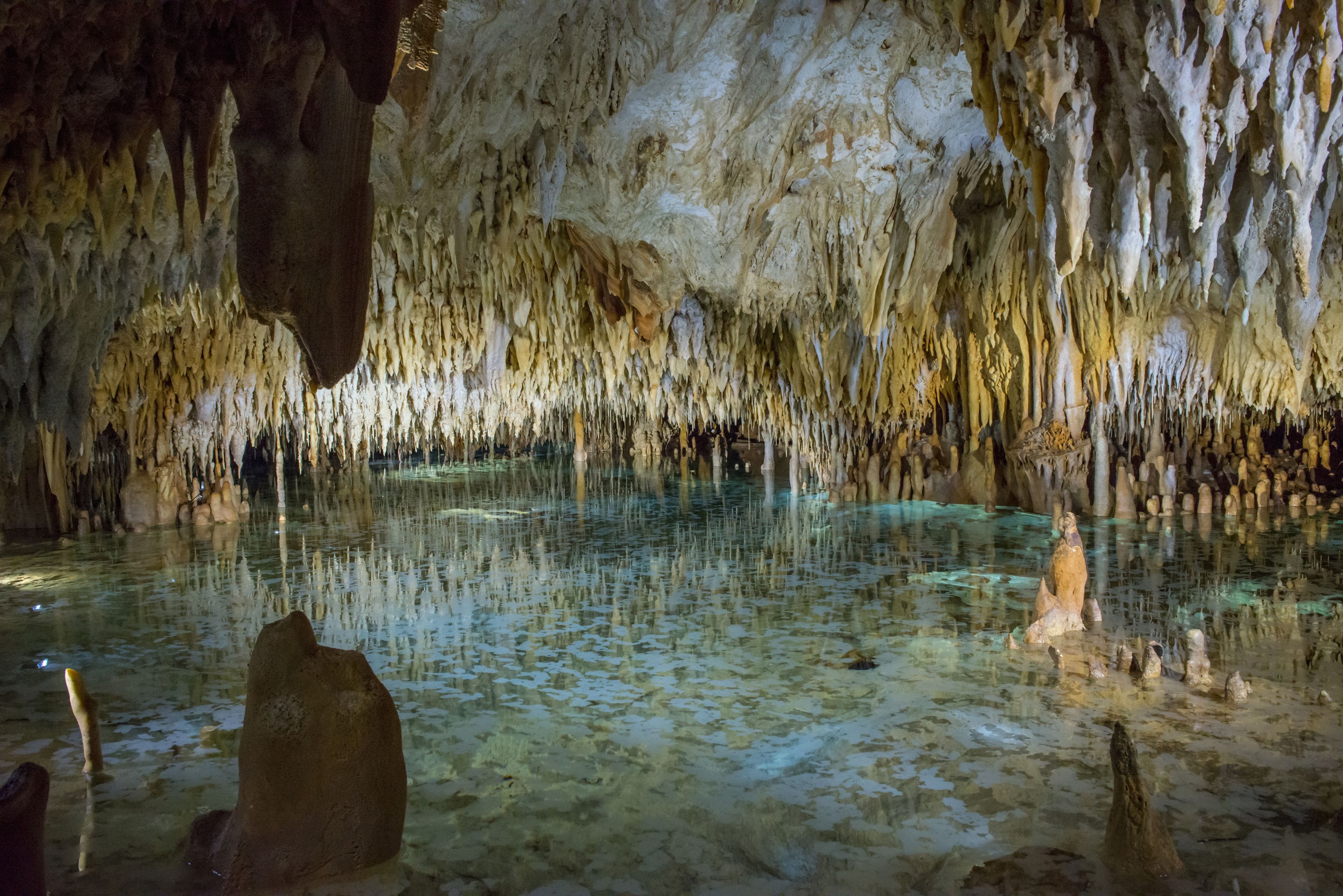 Wyndham Reef Resort Grand Cayman Wyndham Reef Resort Grand Cayman