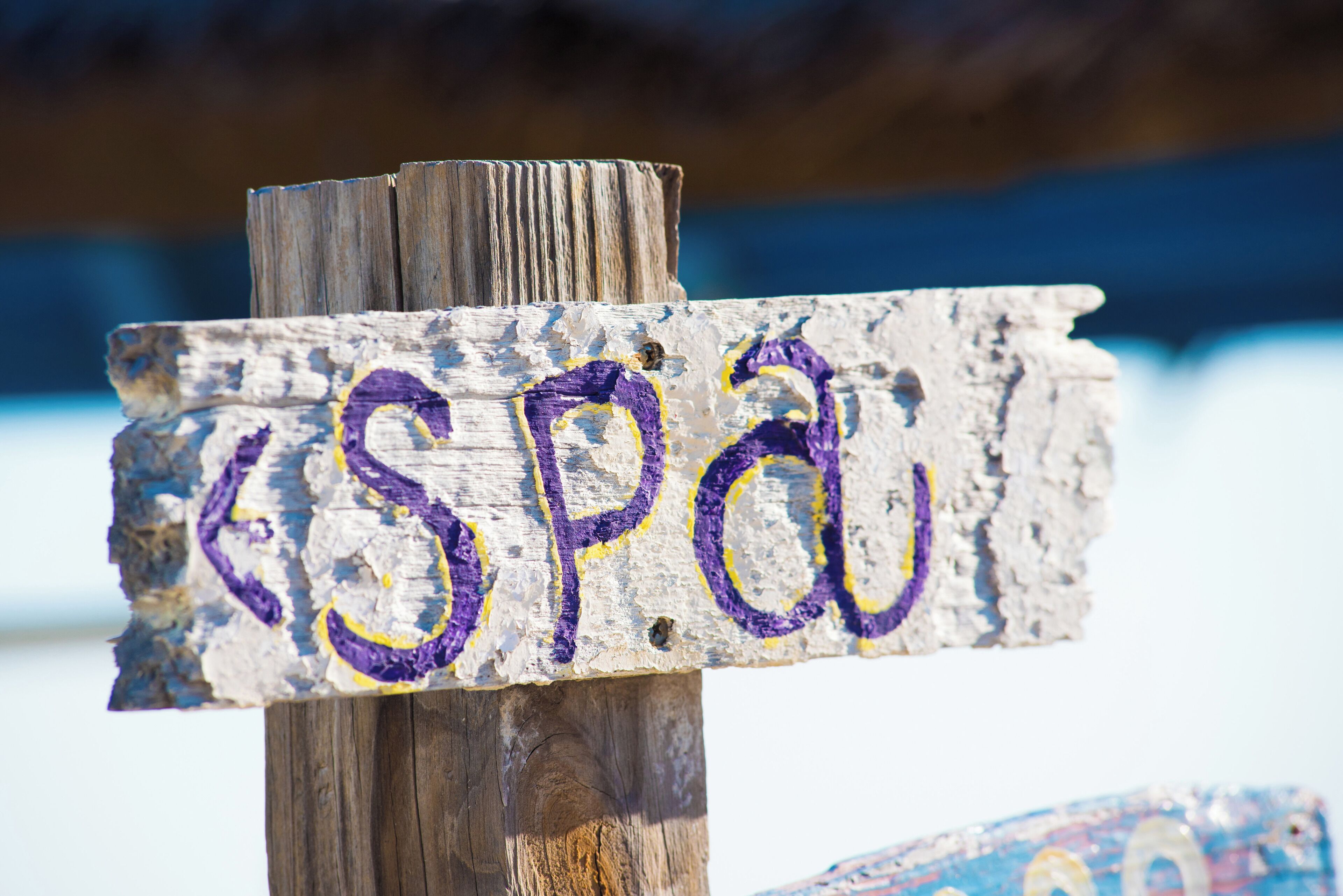 Wyndham Reef Resort Grand Cayman Wyndham Reef Resort Grand Cayman