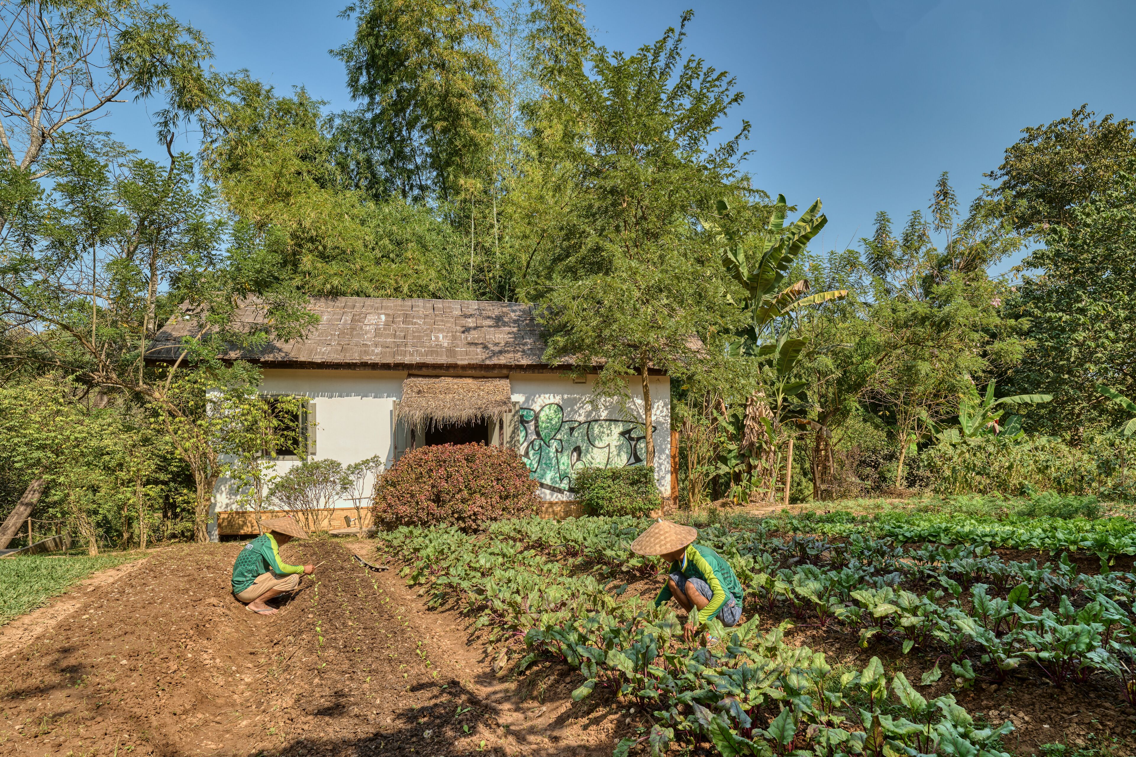 Namkhan EcoLodge Namkhan EcoLodge