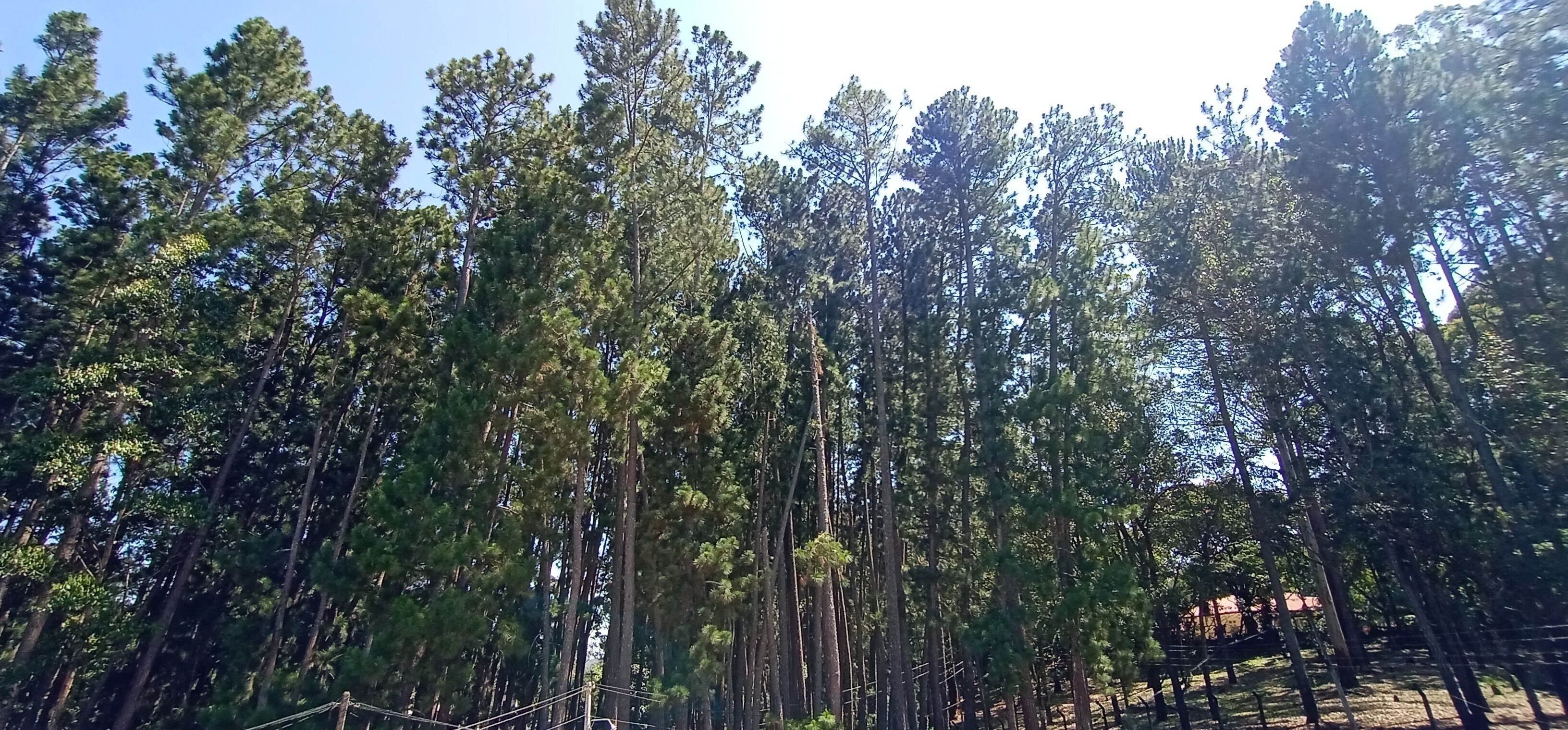 Lilara Hills Diyatalawa