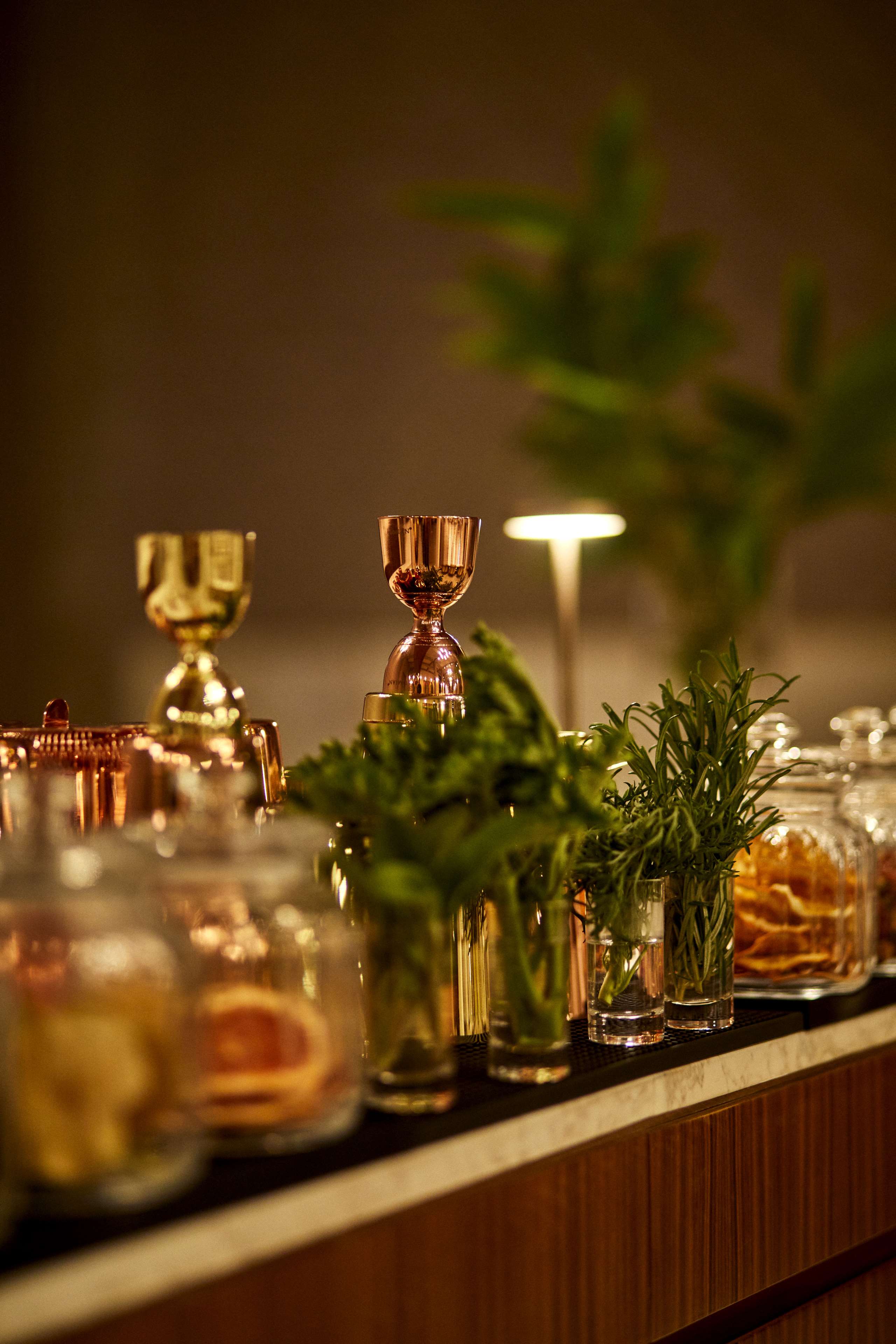 Park Hyatt Marrakech Park Hyatt Marrakech