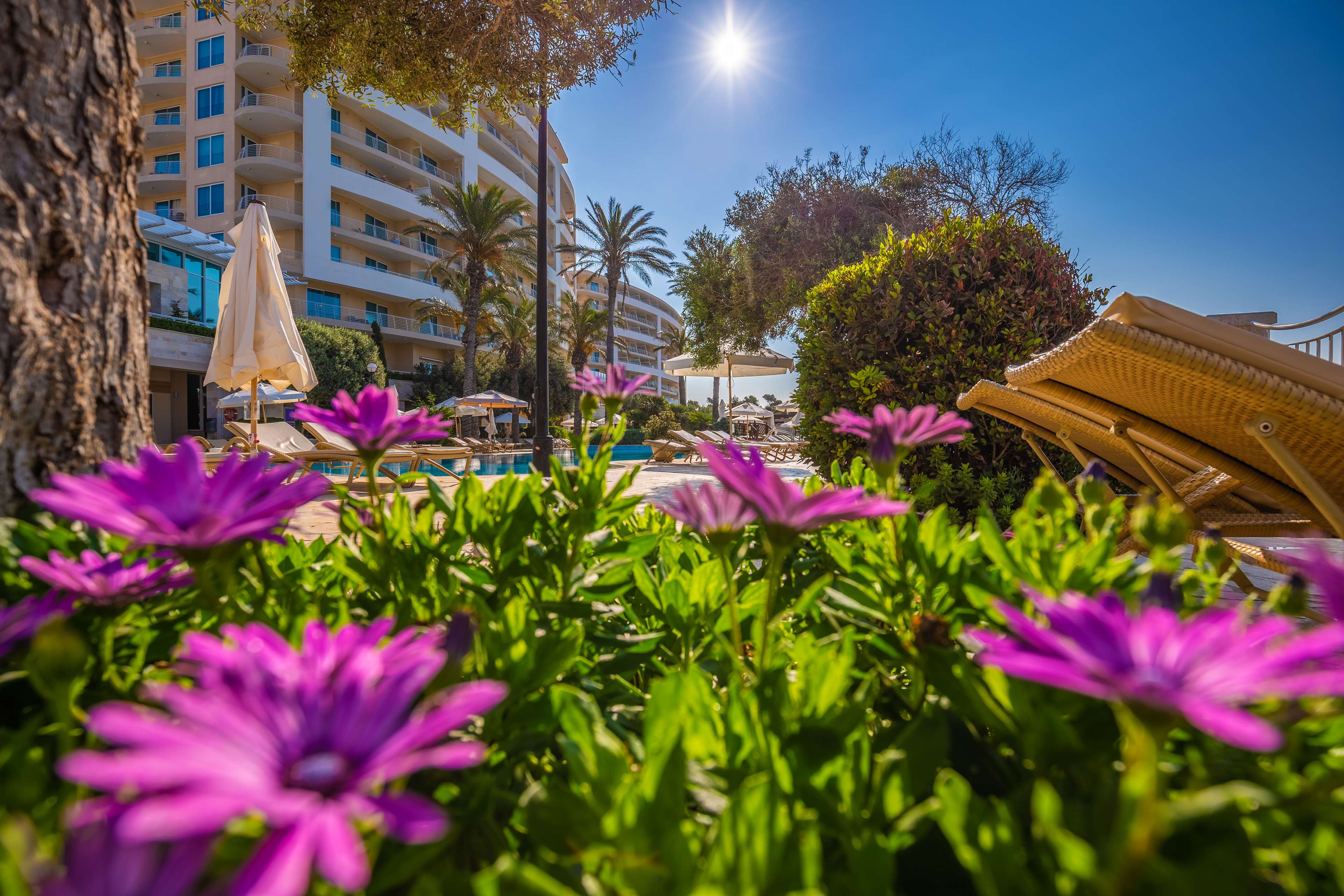 Radisson Blu Resort & Spa Malta Golden Sands Radisson Blu Resort & Spa Malta Golden Sands