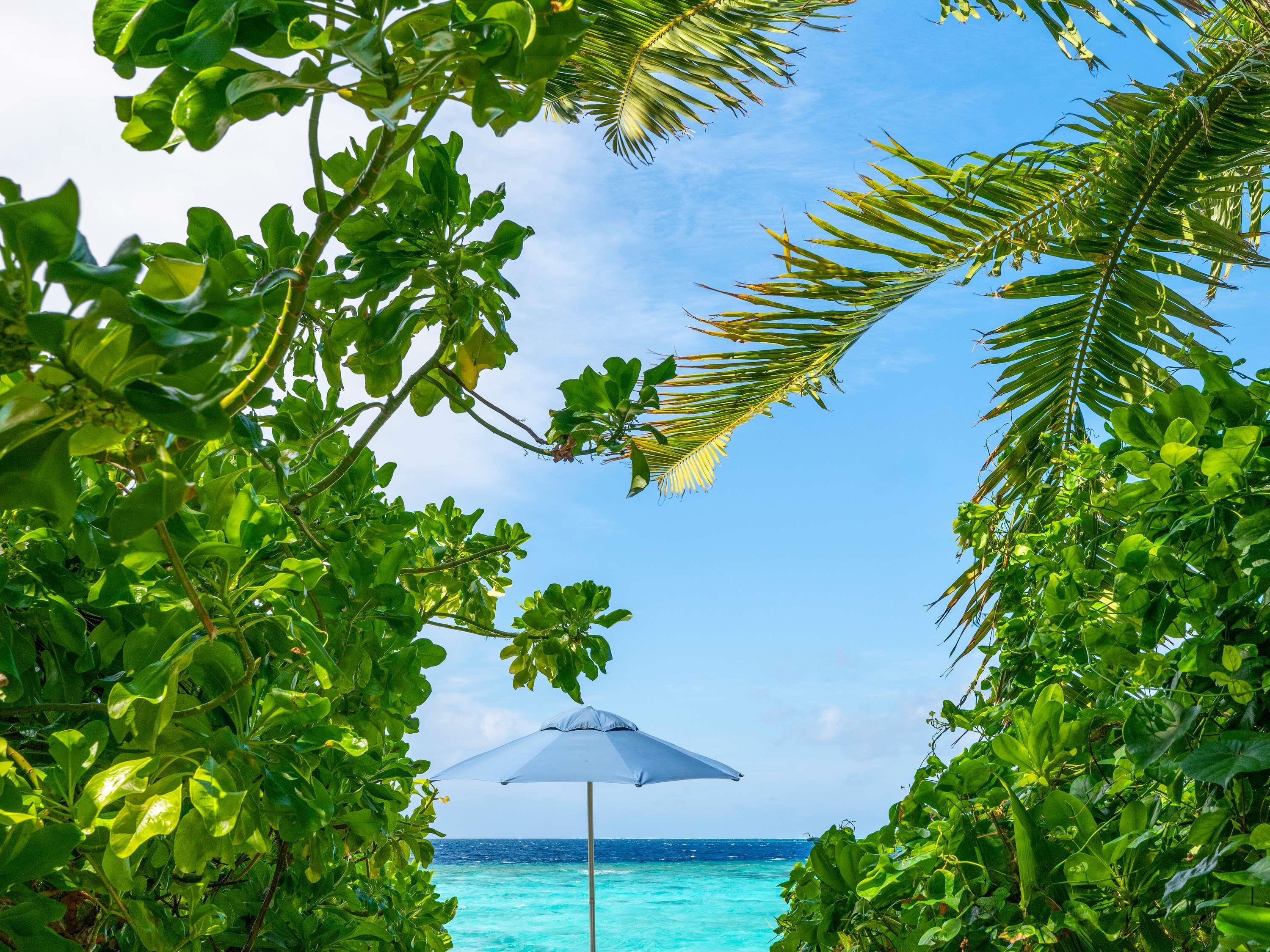 The Halcyon Private Isles Maldives, Autograph Collection The Halcyon Private Isles Maldives, Autograph Collection