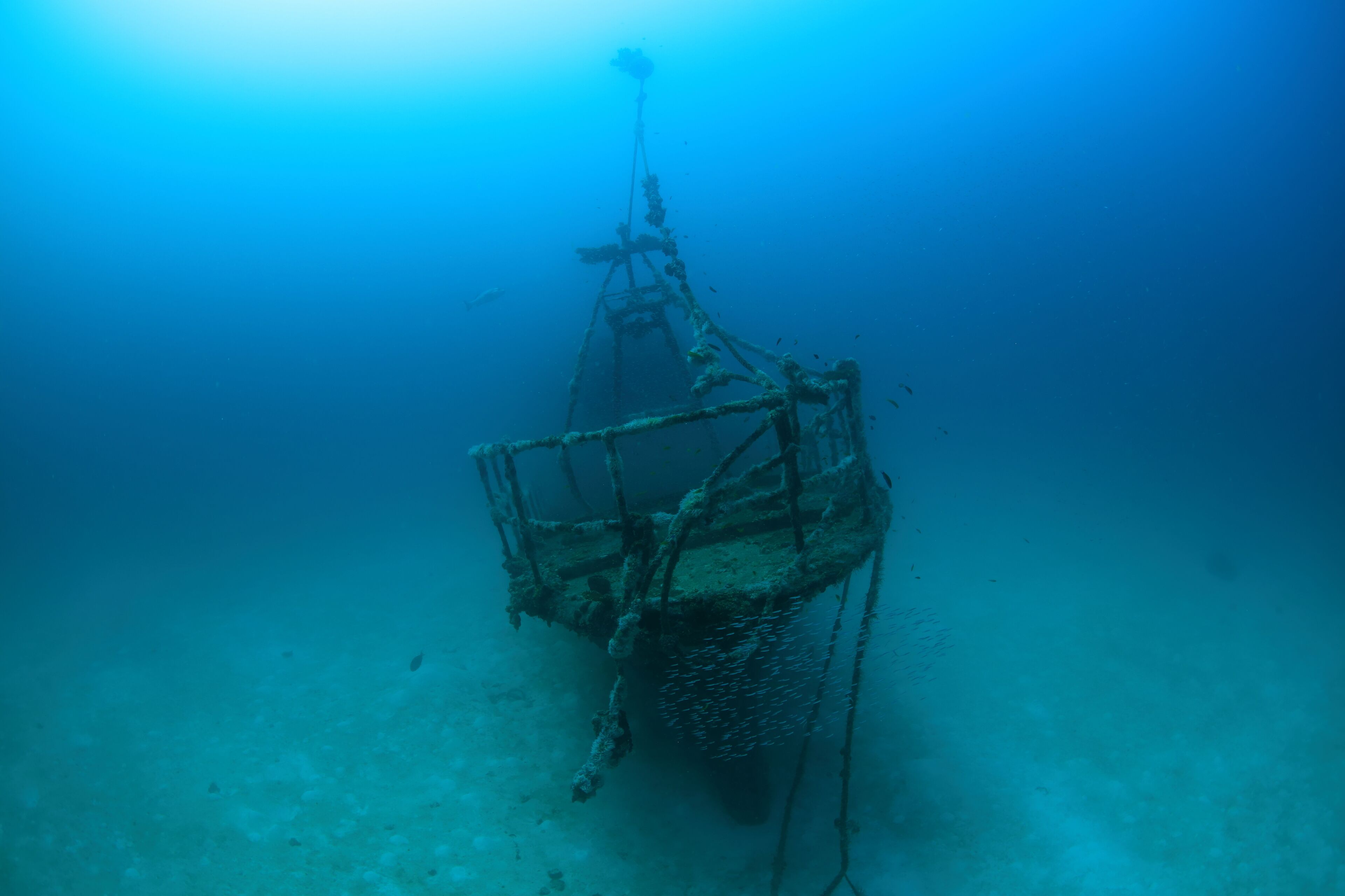 V Villas Maldives at Mirihi – MGallery Collection V Villas Maldives at Mirihi – MGallery Collection