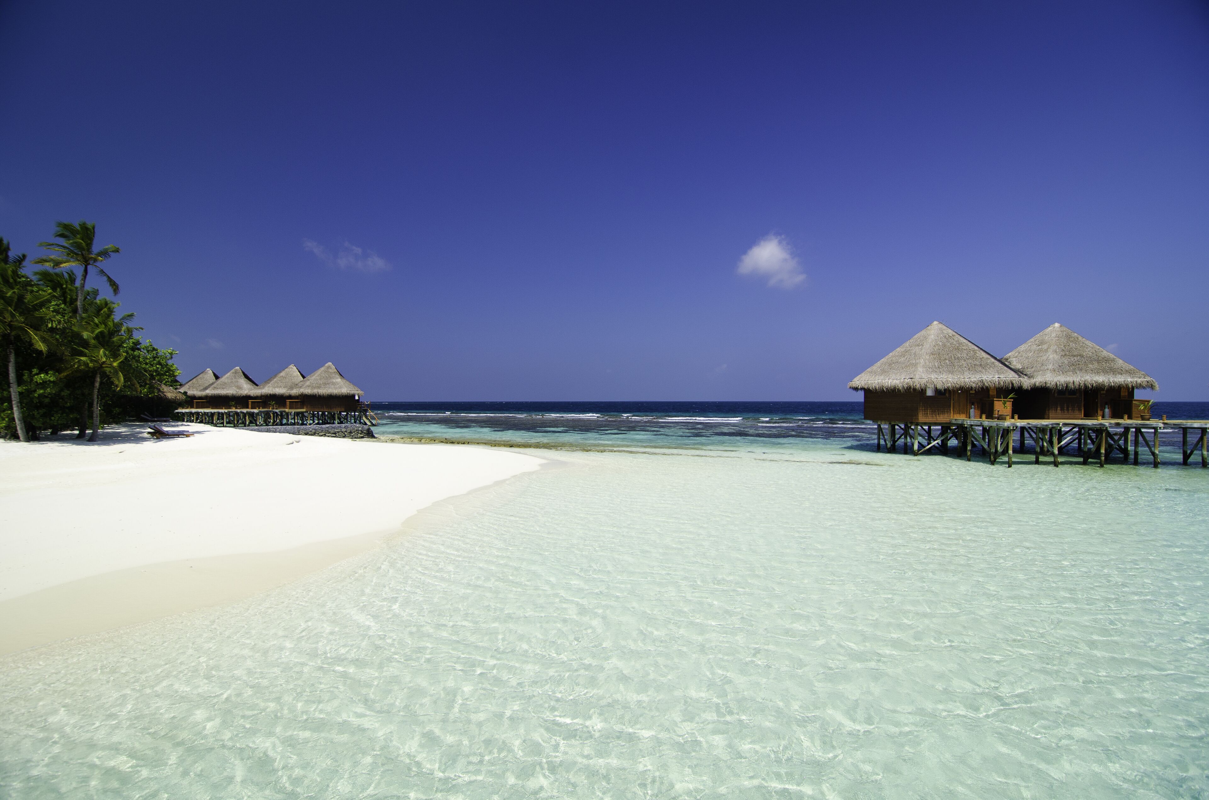 V Villas Maldives at Mirihi – MGallery Collection V Villas Maldives at Mirihi – MGallery Collection