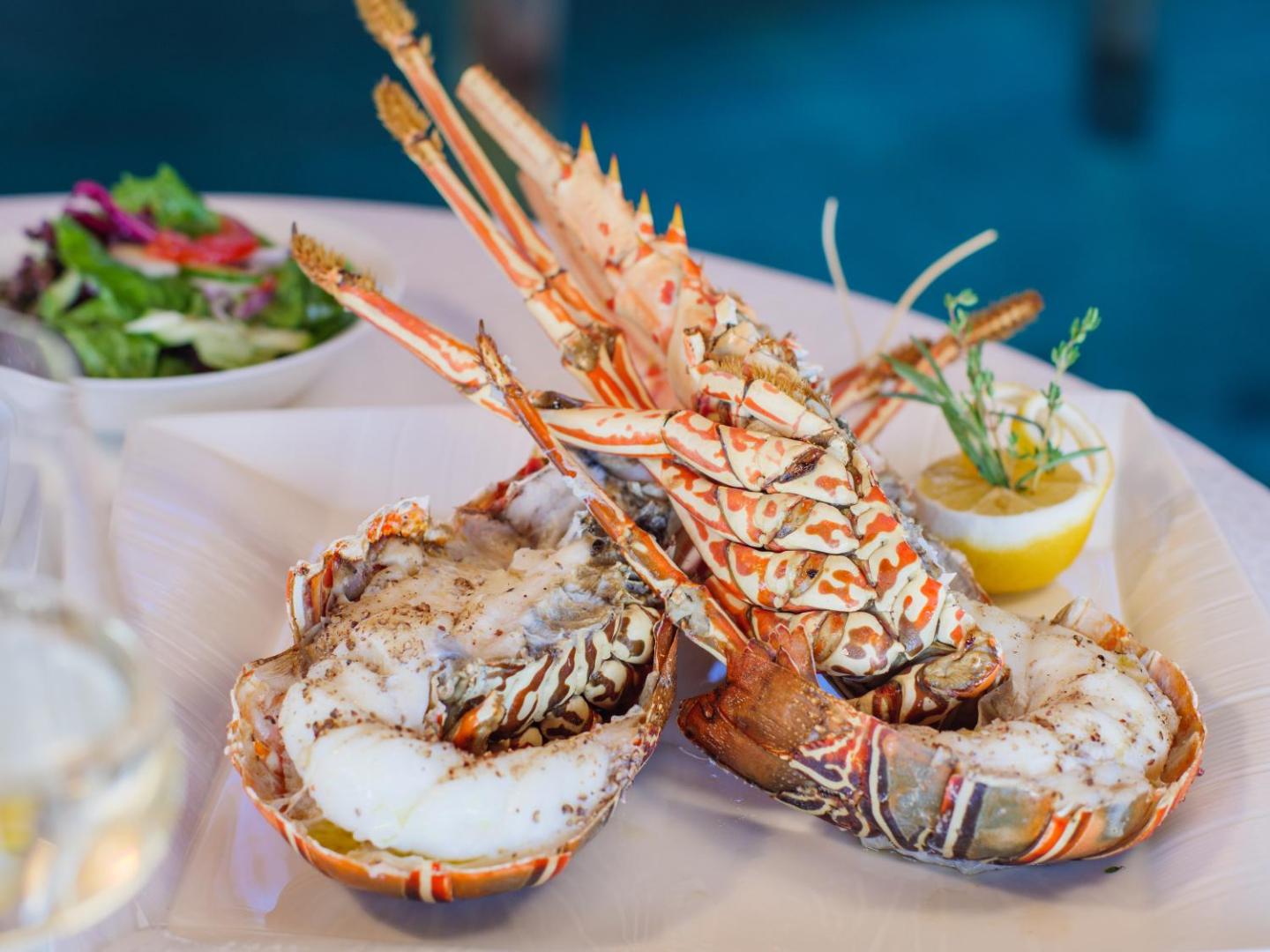 V Villas Maldives at Mirihi – MGallery Collection V Villas Maldives at Mirihi – MGallery Collection