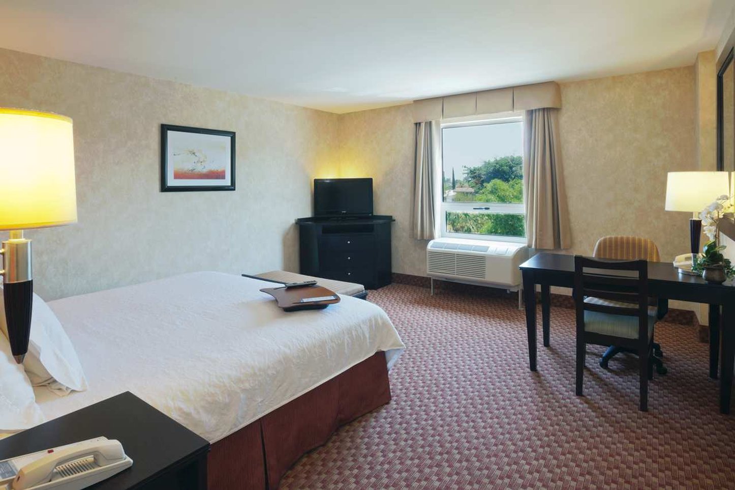 Hampton Inn By Hilton Ciudad Victoria Hampton Inn By Hilton Ciudad Victoria