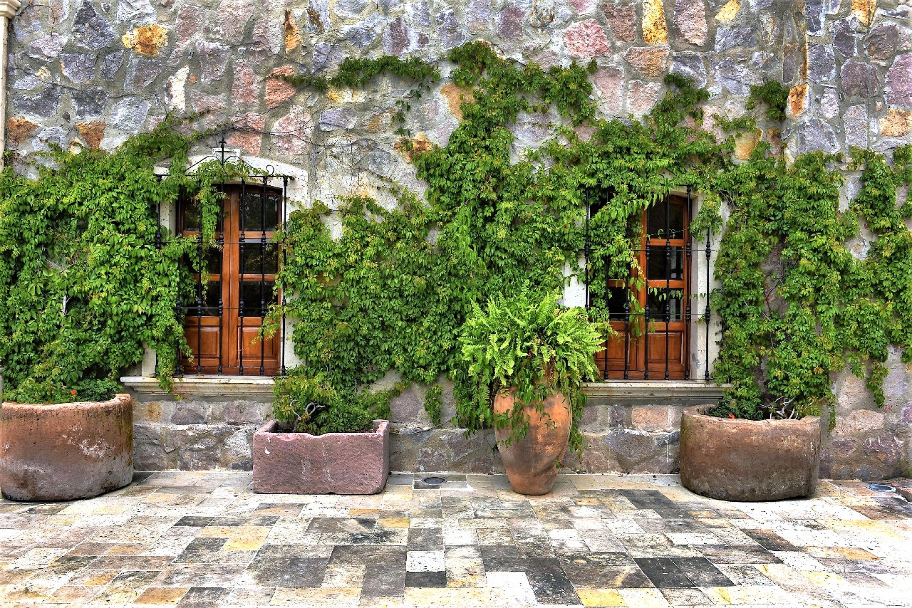 Hacienda Catrina Hacienda Catrina