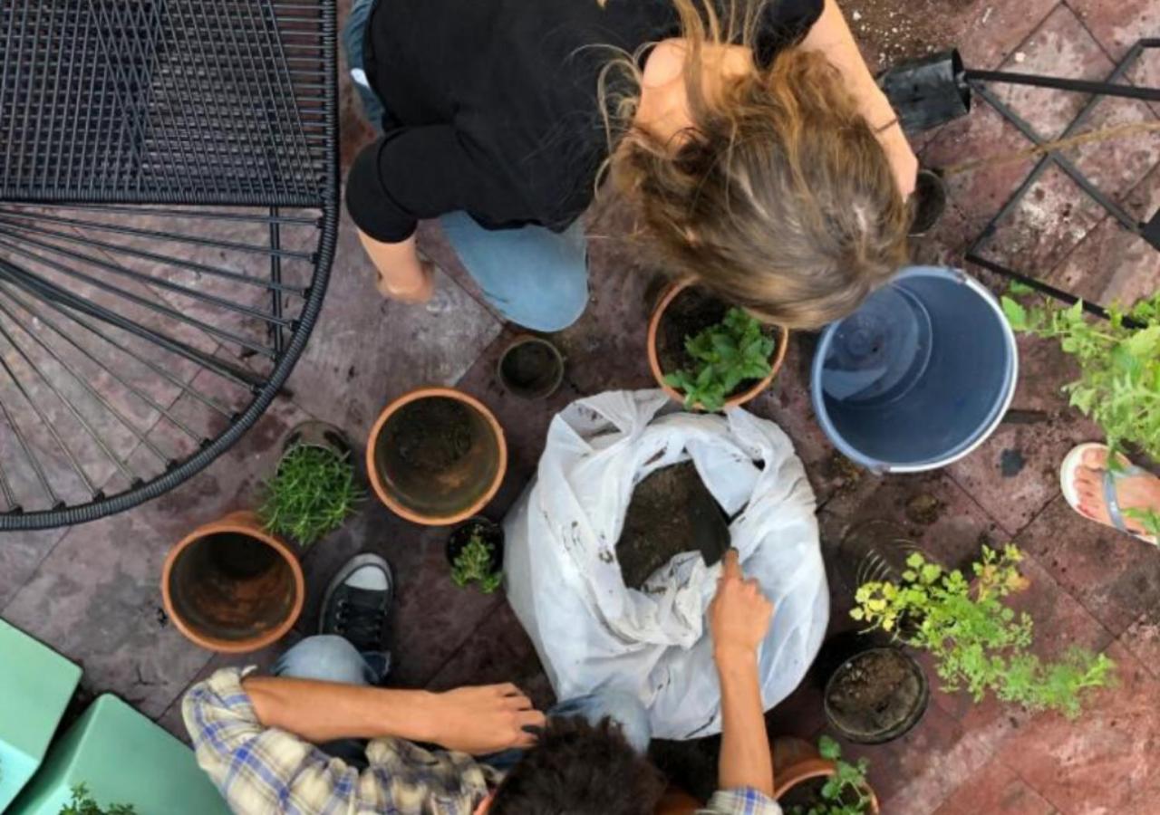 Casa MX Alameda Casa MX Alameda