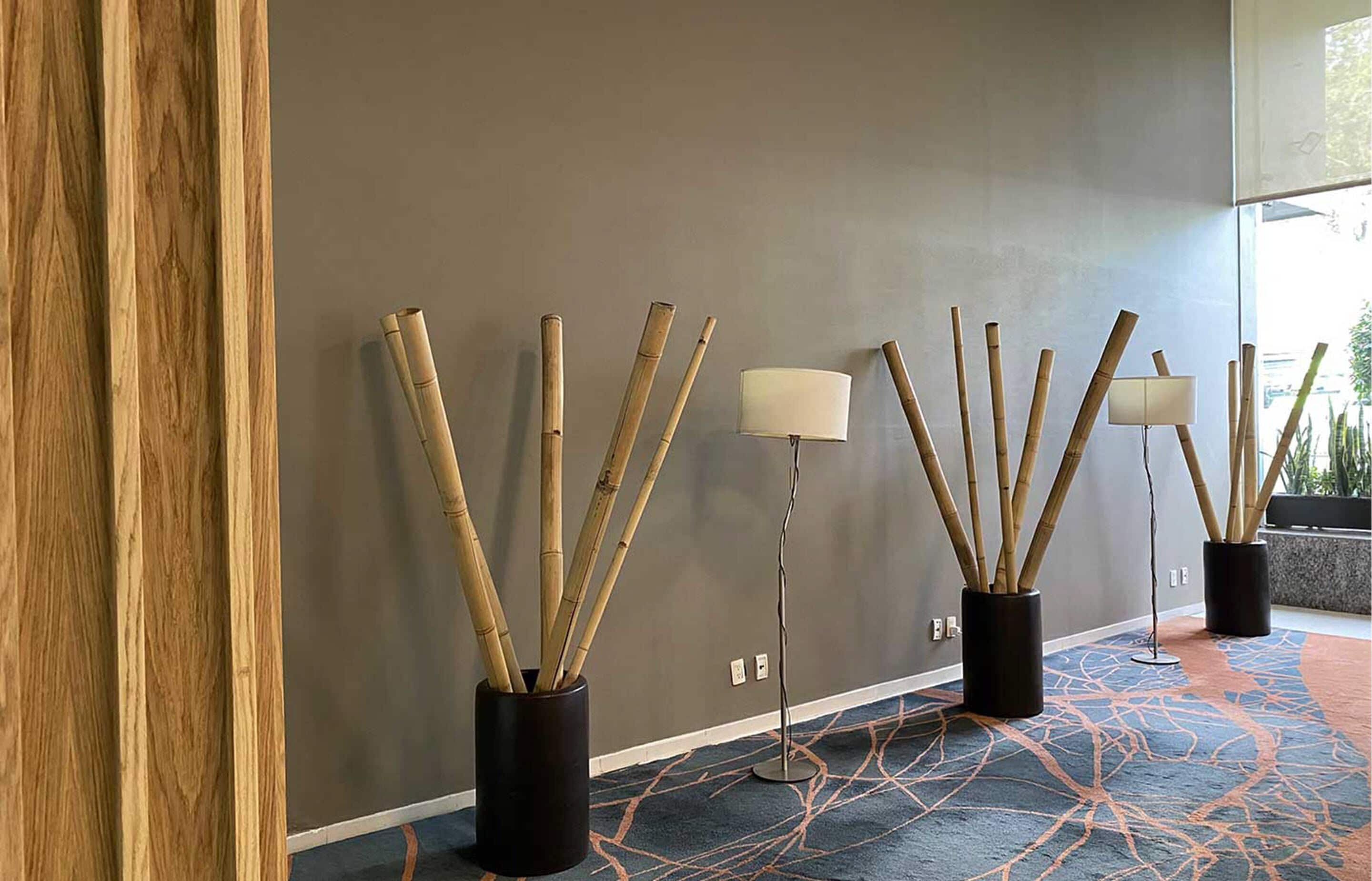 MX fórum buenavista MX fórum buenavista