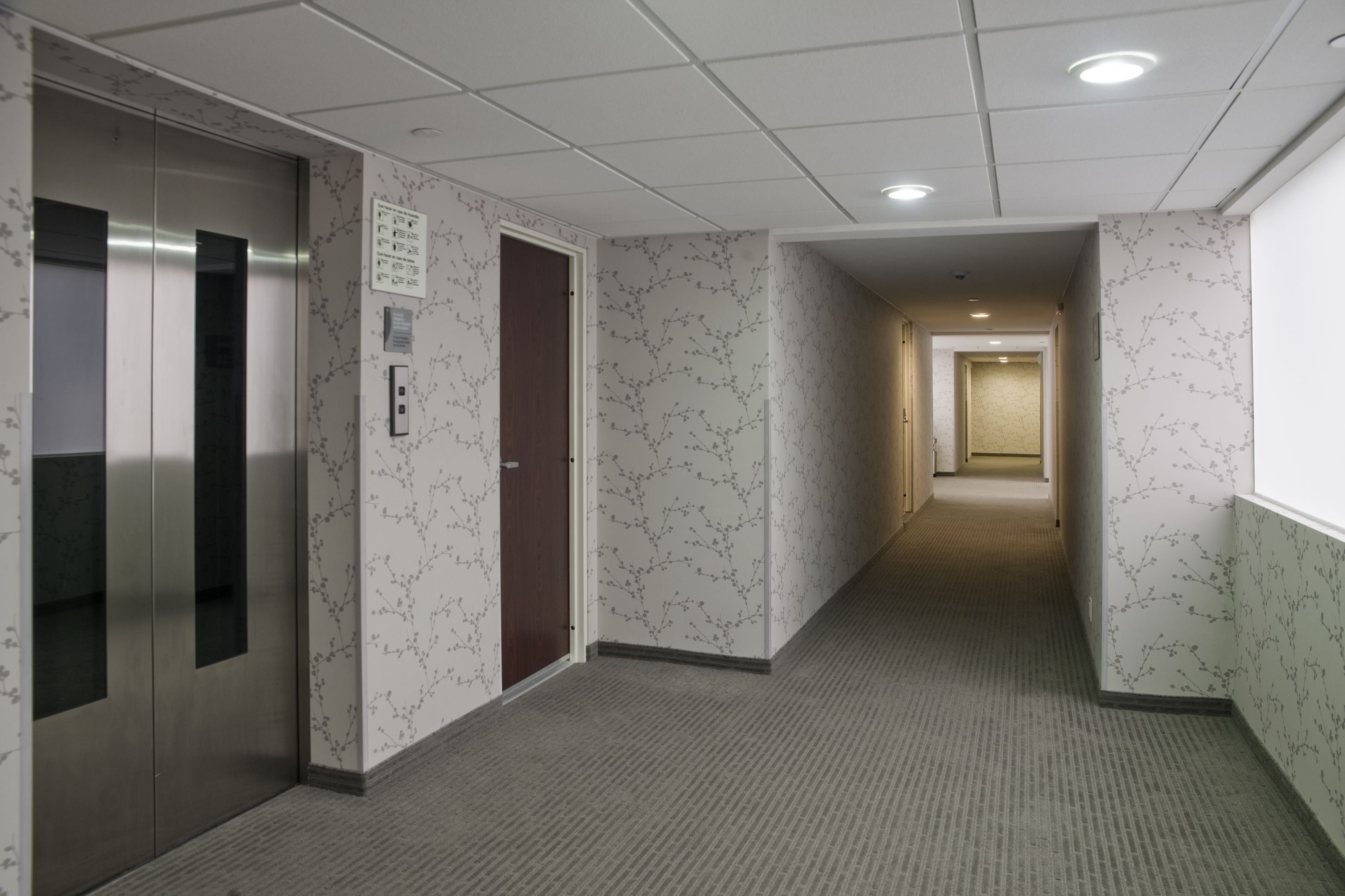 MX fórum buenavista MX fórum buenavista