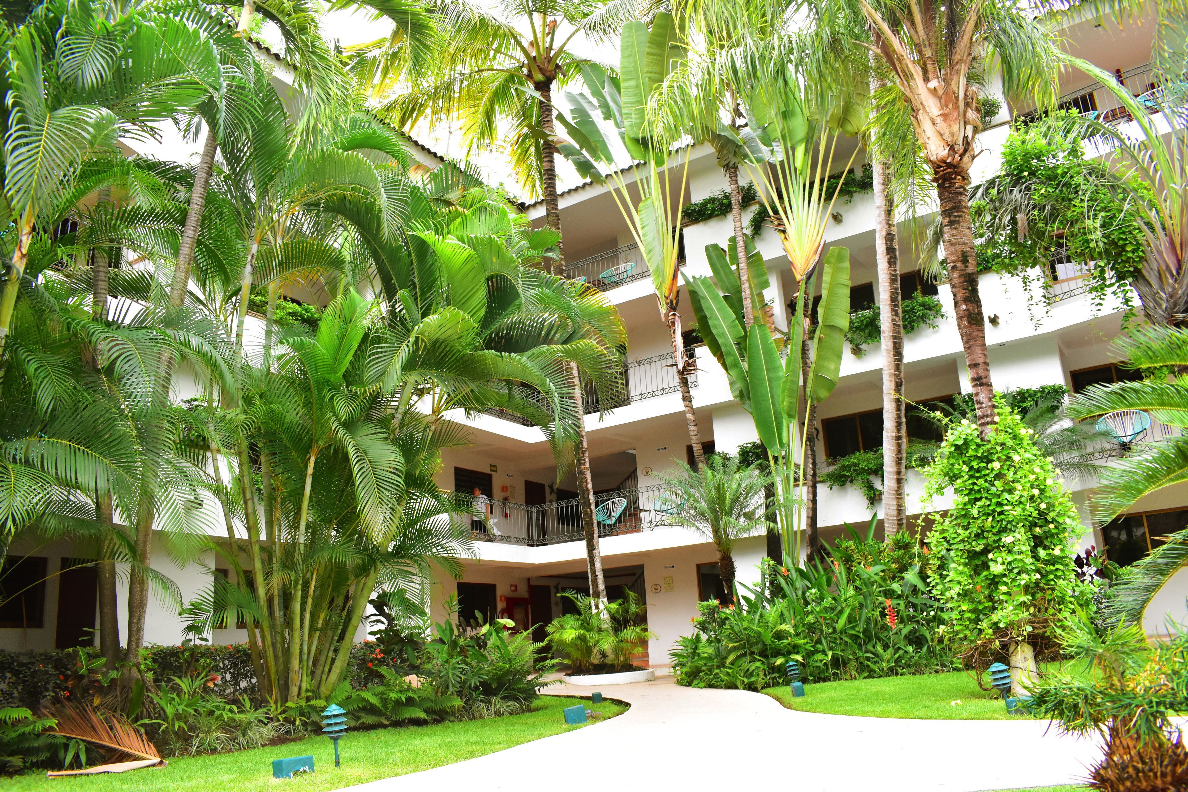 Casa Iguana Casa Iguana