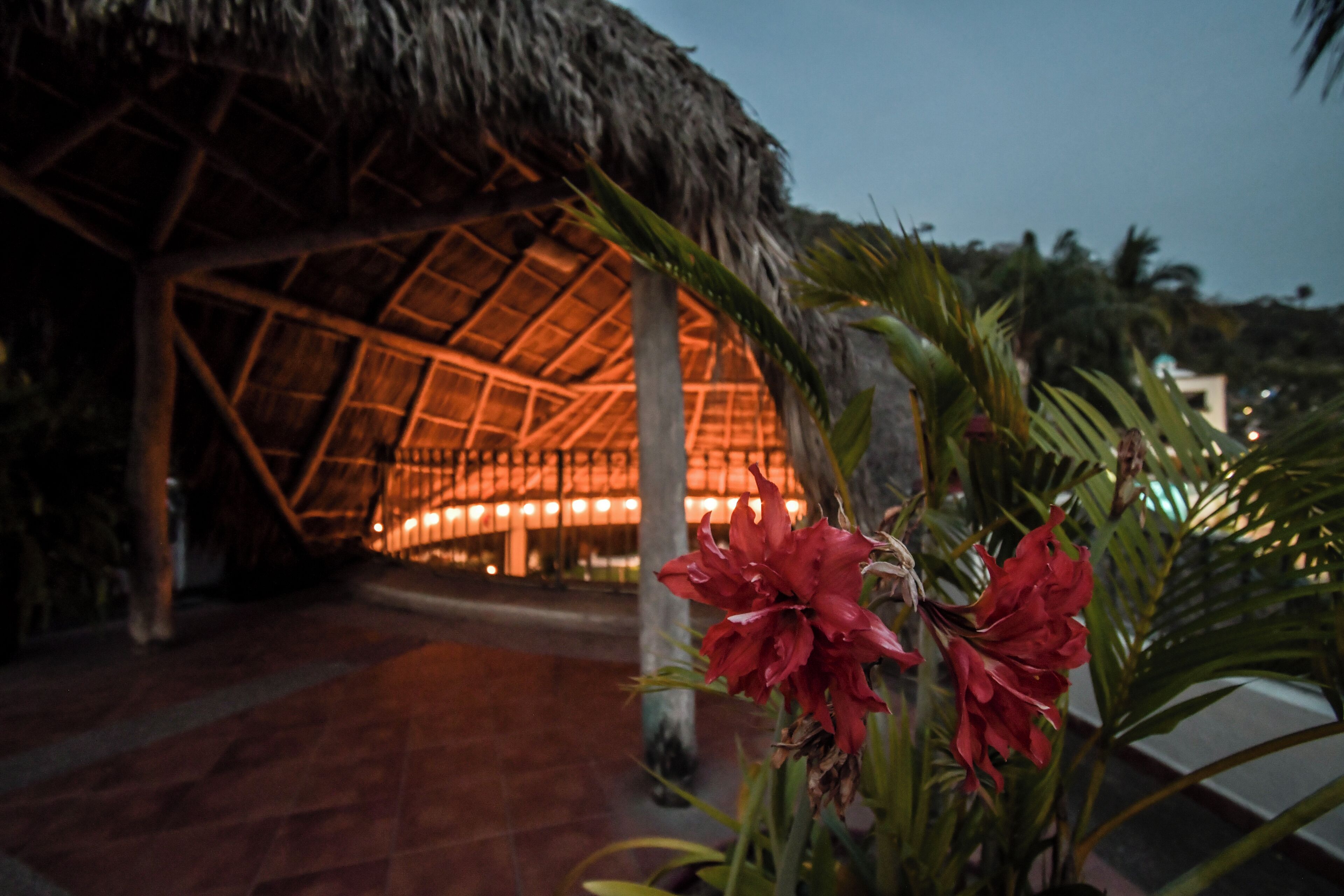 Casa Iguana Casa Iguana