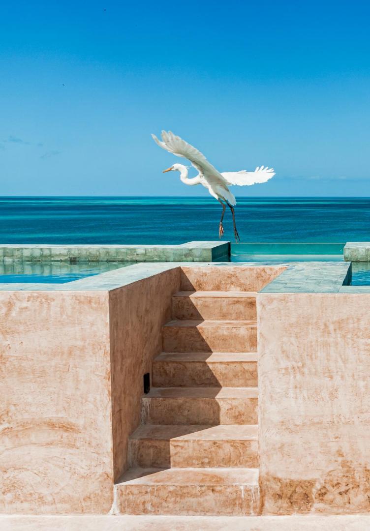 AWA Holbox Hotel Boutique AWA Holbox Hotel Boutique