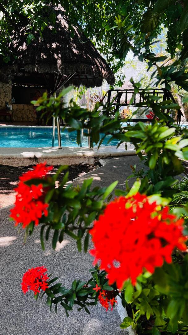 Mayan Art Hotel 10 Avenue Mayan Art Hotel 10 Avenue