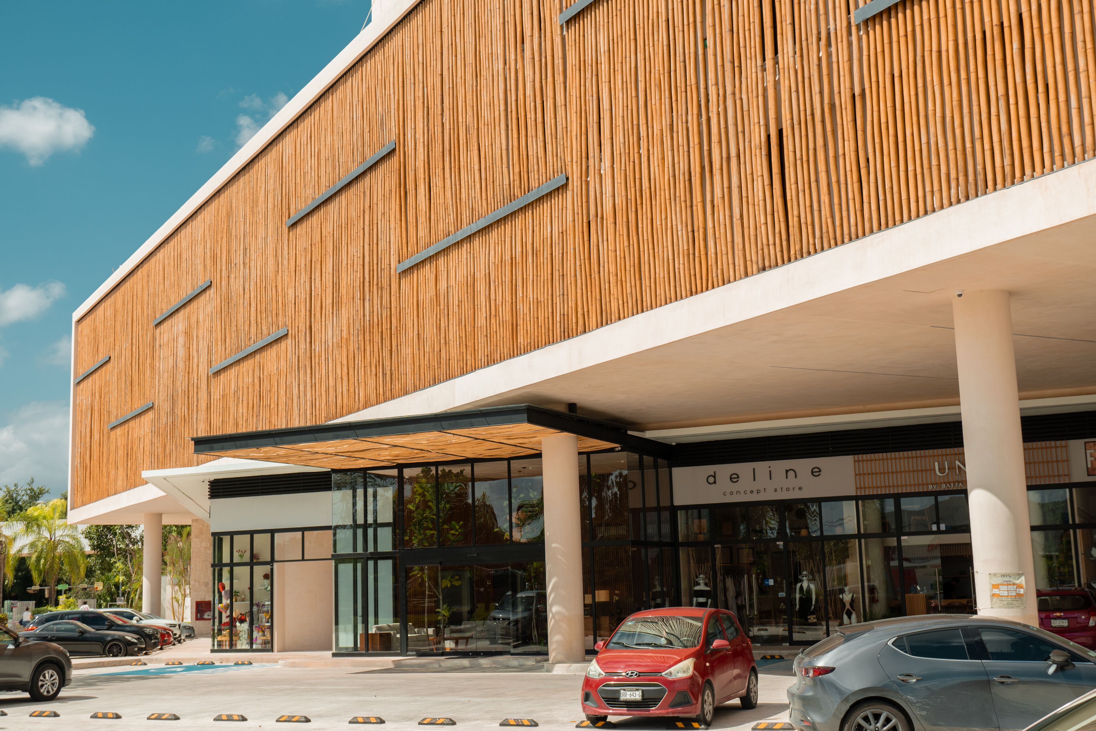 Hive Cancun Hive Cancun
