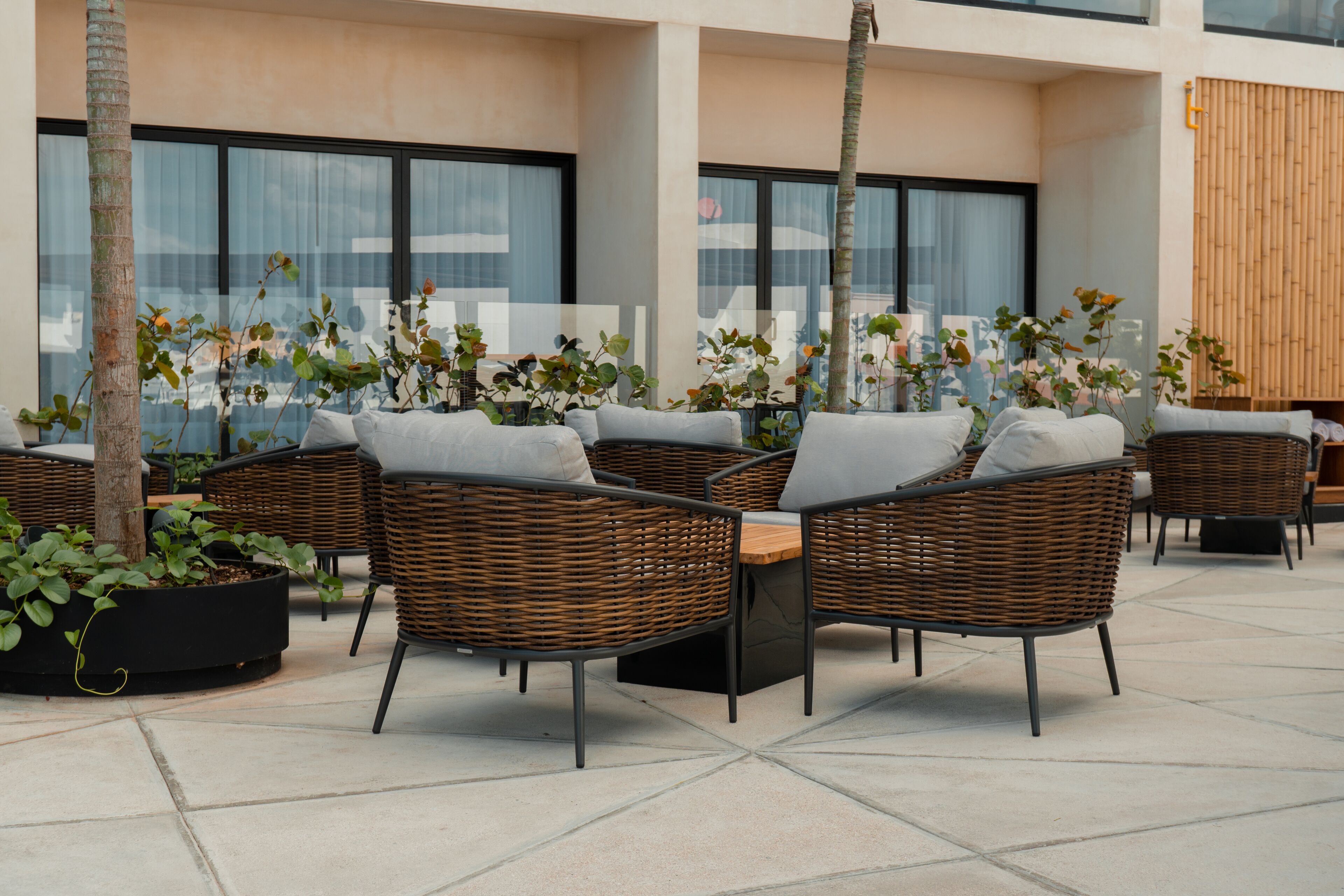 Hive Cancun Hive Cancun