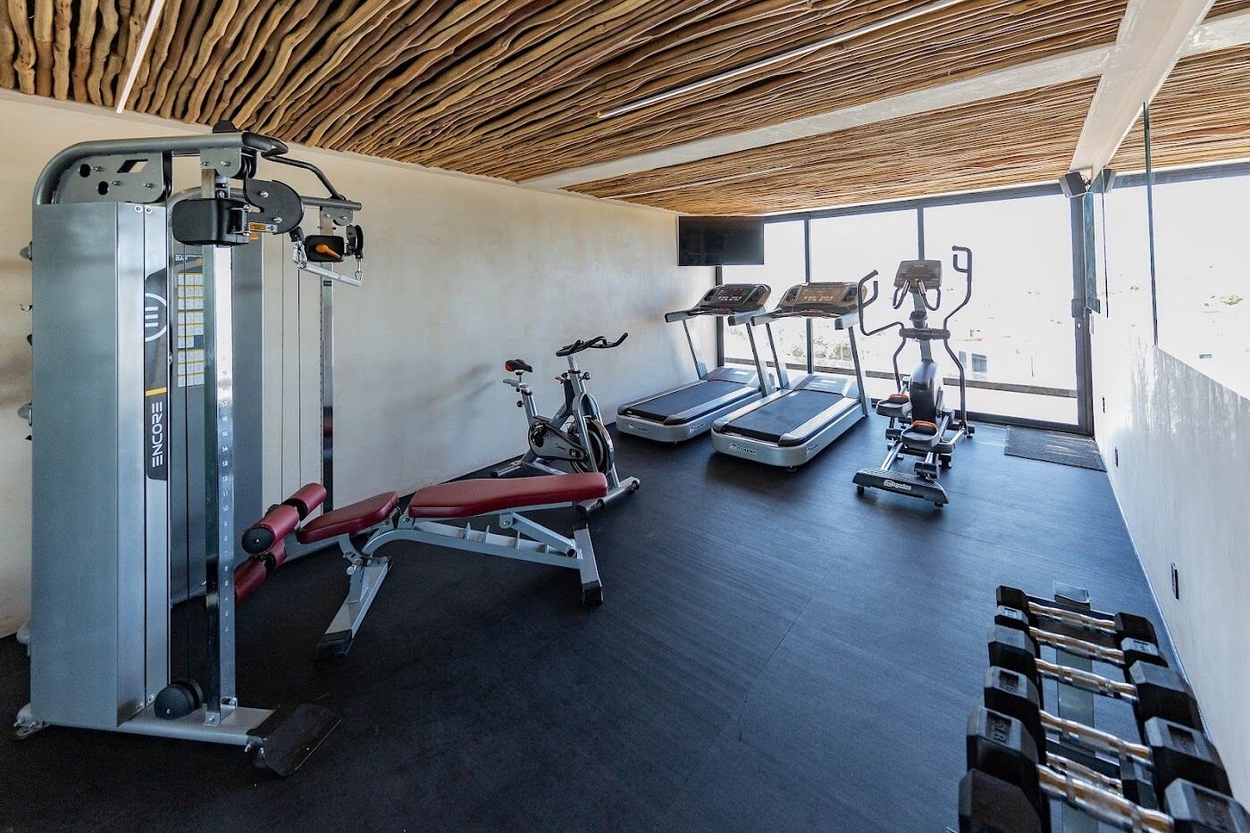 Hive Cancun Hive Cancun