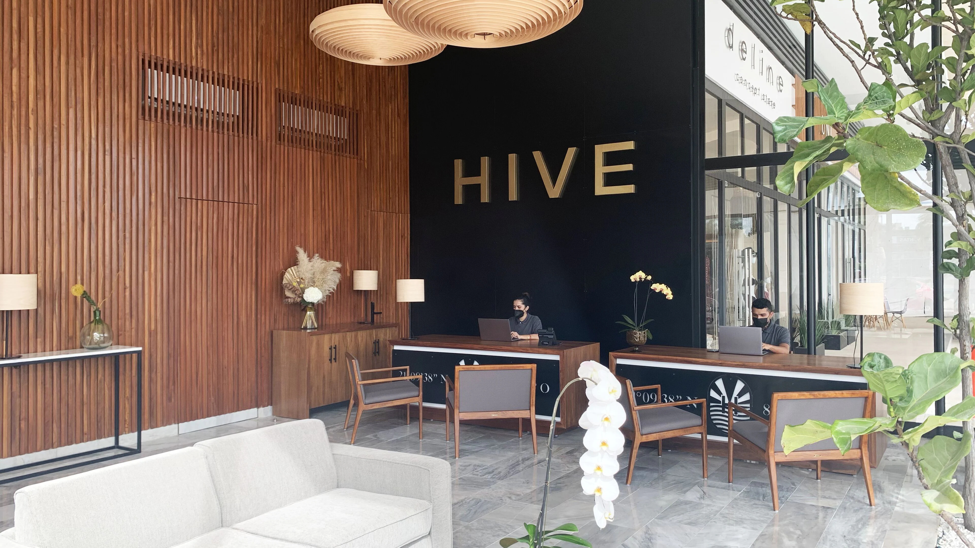 Hive Cancun Hive Cancun