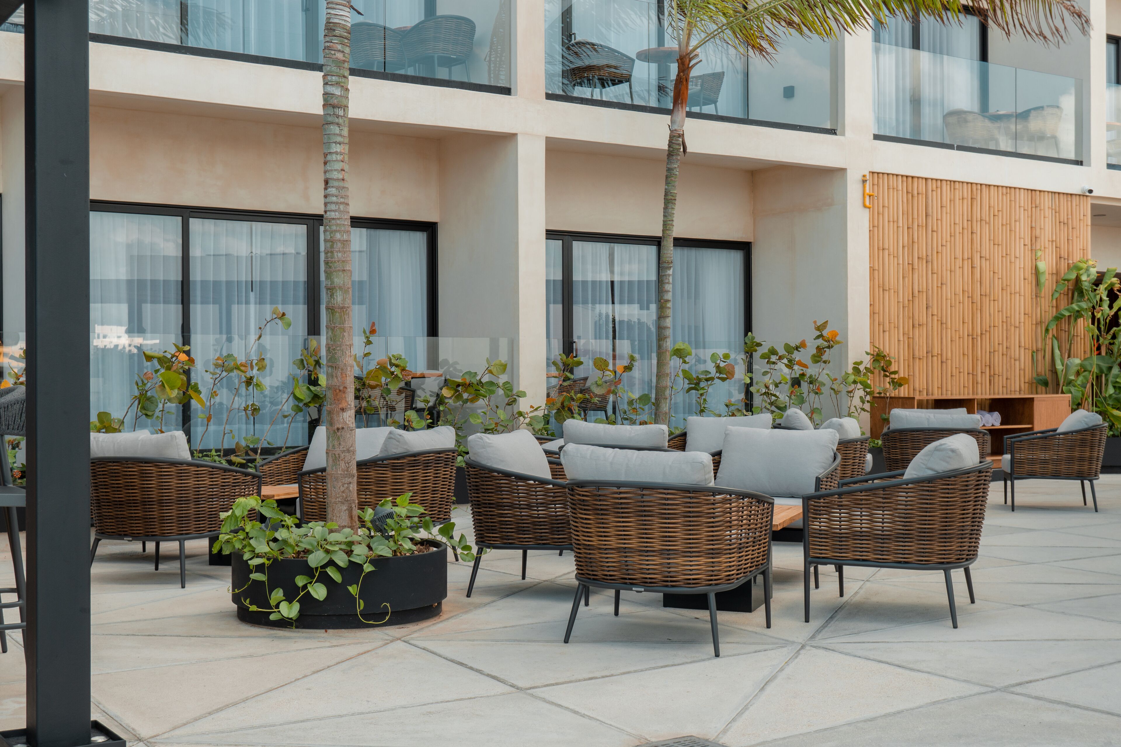 Hive Cancun Hive Cancun