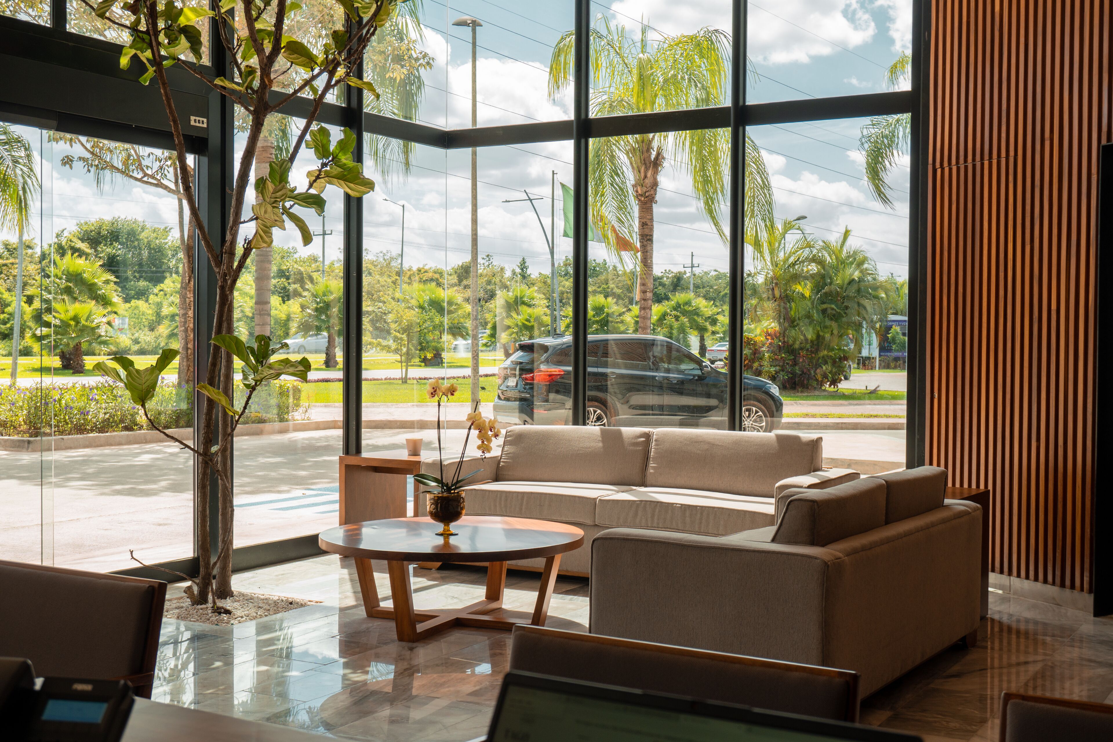 Hive Cancun Hive Cancun