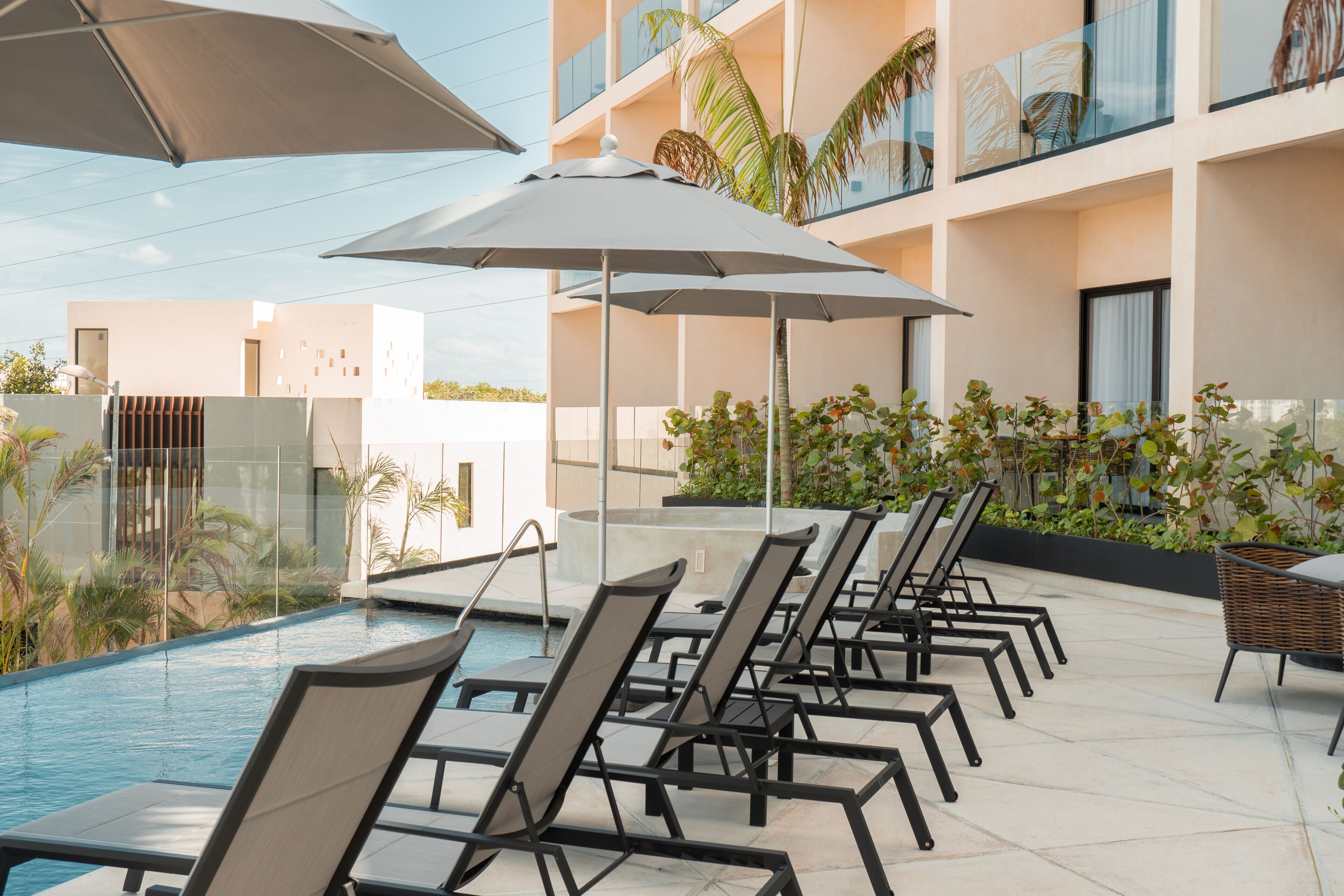 Hive Cancun Hive Cancun