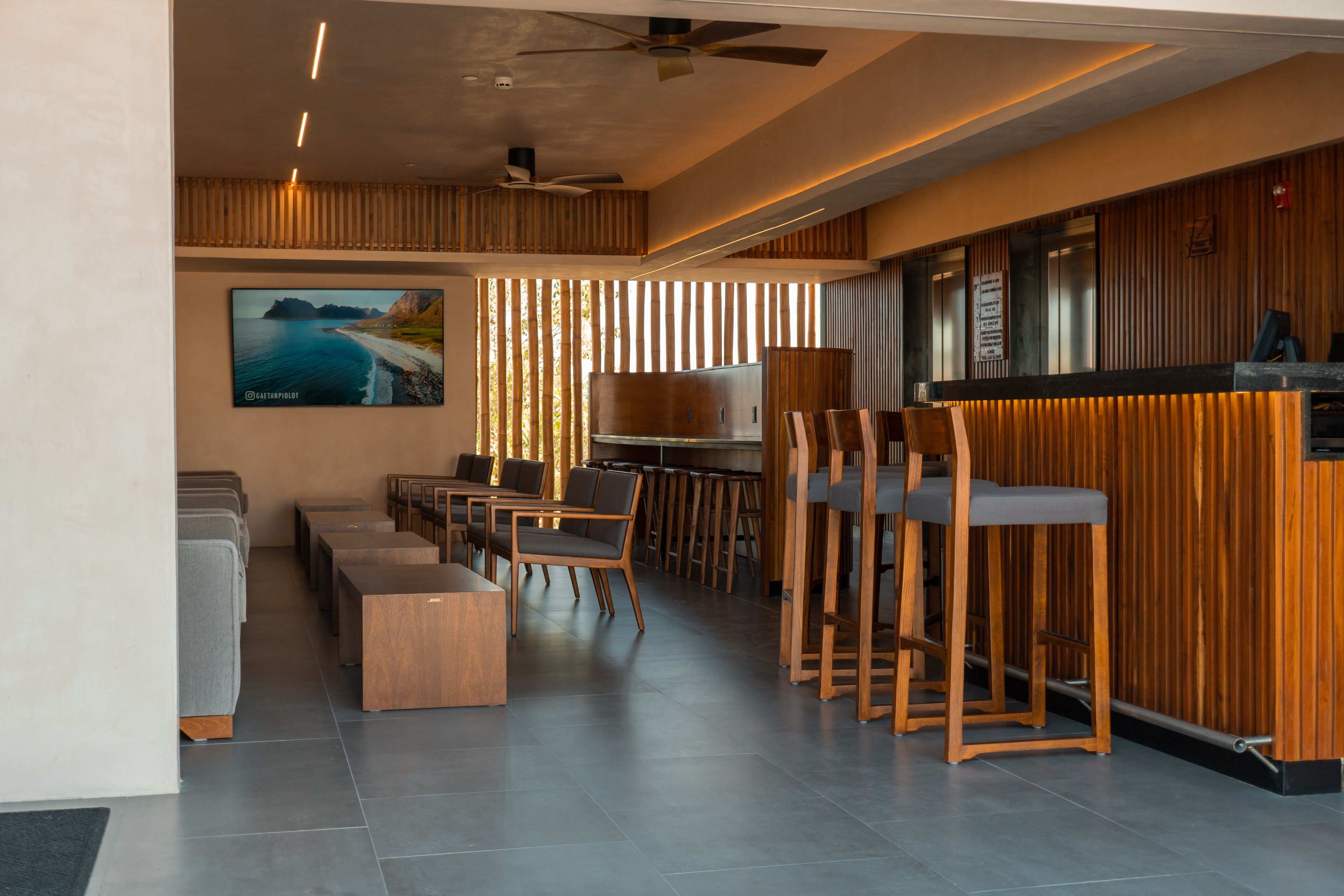 Hive Cancun Hive Cancun