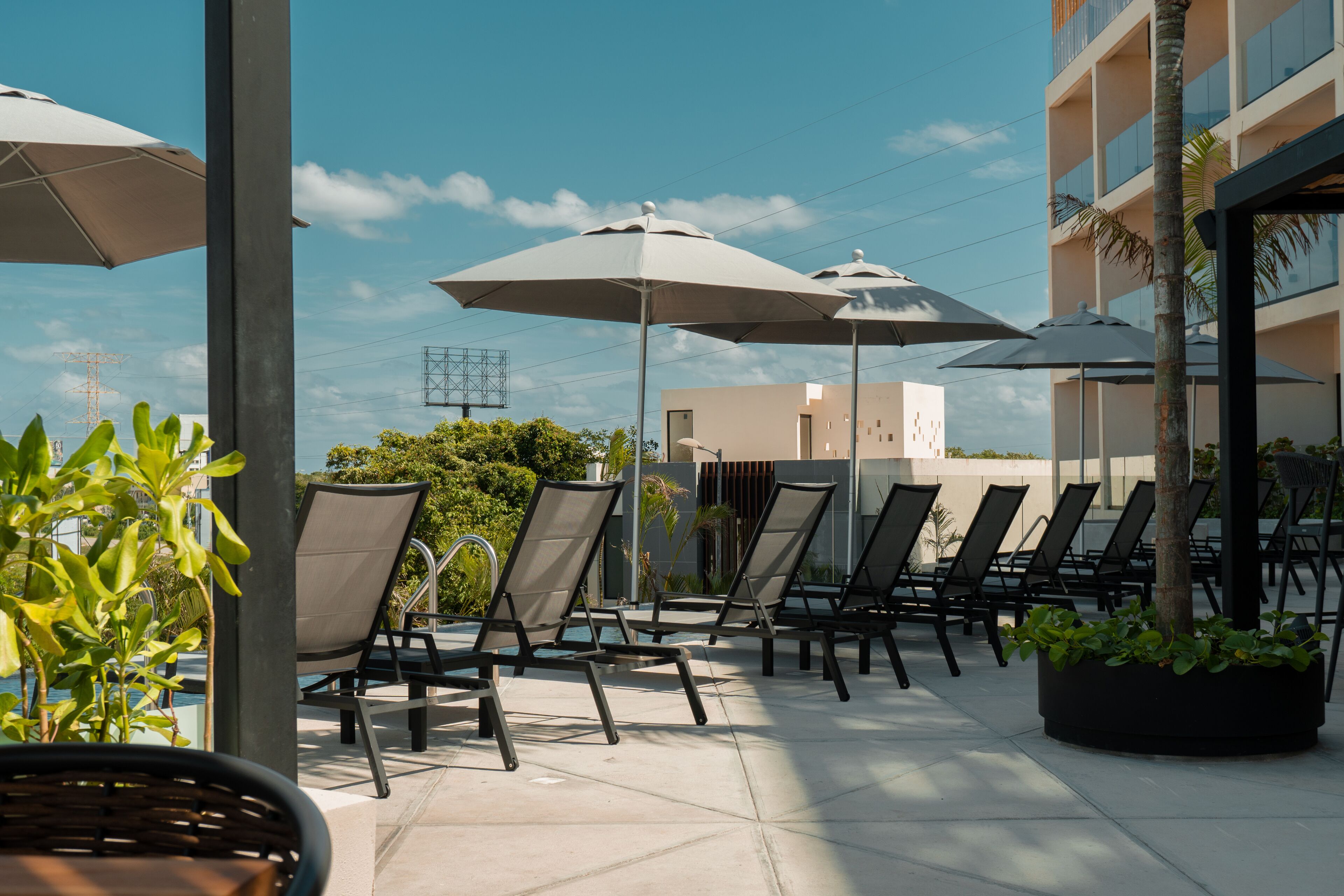 Hive Cancun Hive Cancun