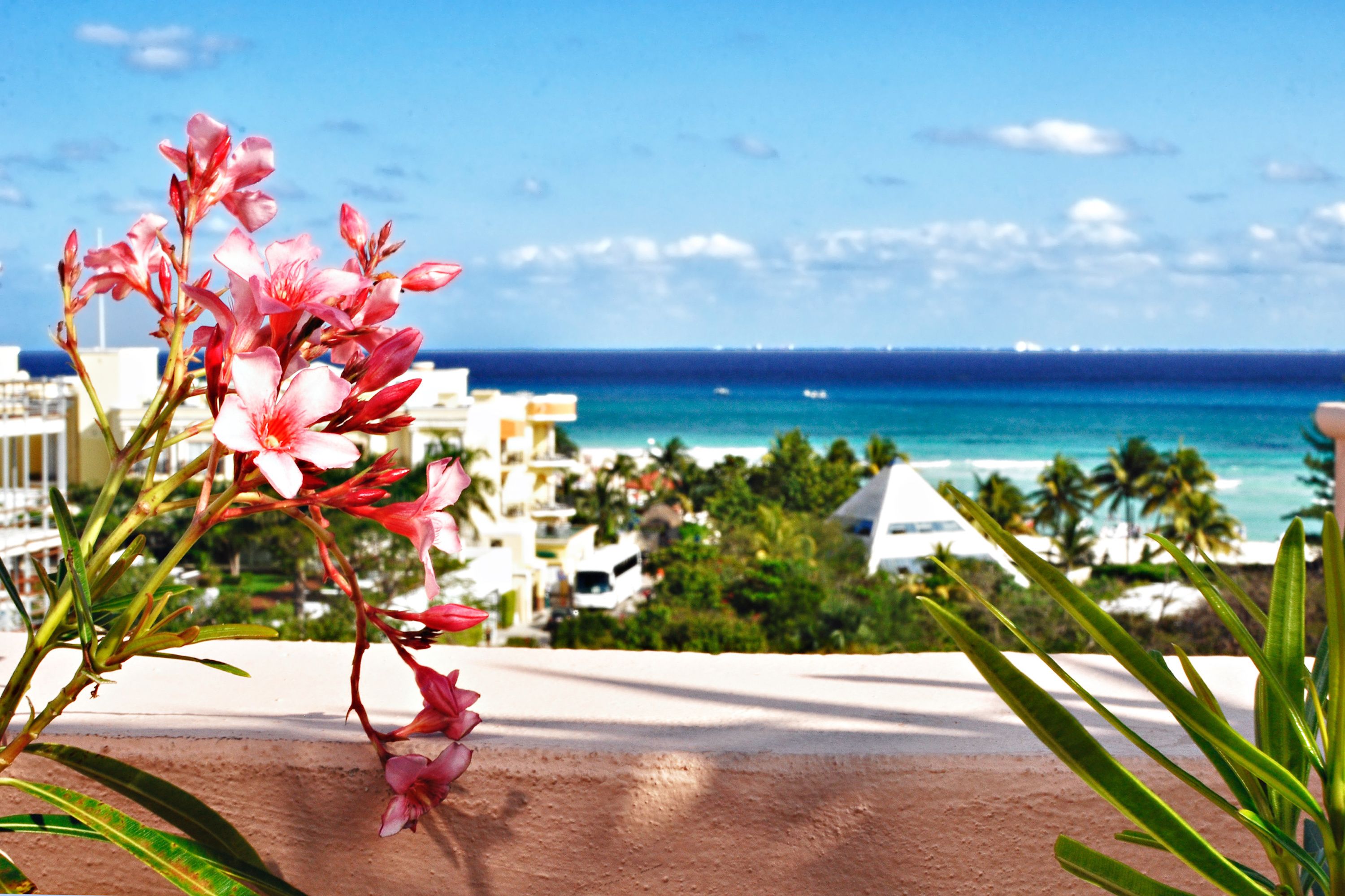 Acanto Playa del Carmen, Trademark Collection by Wyndham Acanto Playa del Carmen, Trademark Collection by Wyndham