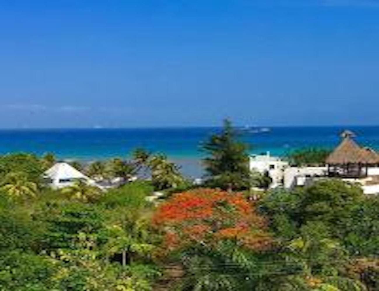 Acanto Playa del Carmen, Trademark Collection by Wyndham Acanto Playa del Carmen, Trademark Collection by Wyndham
