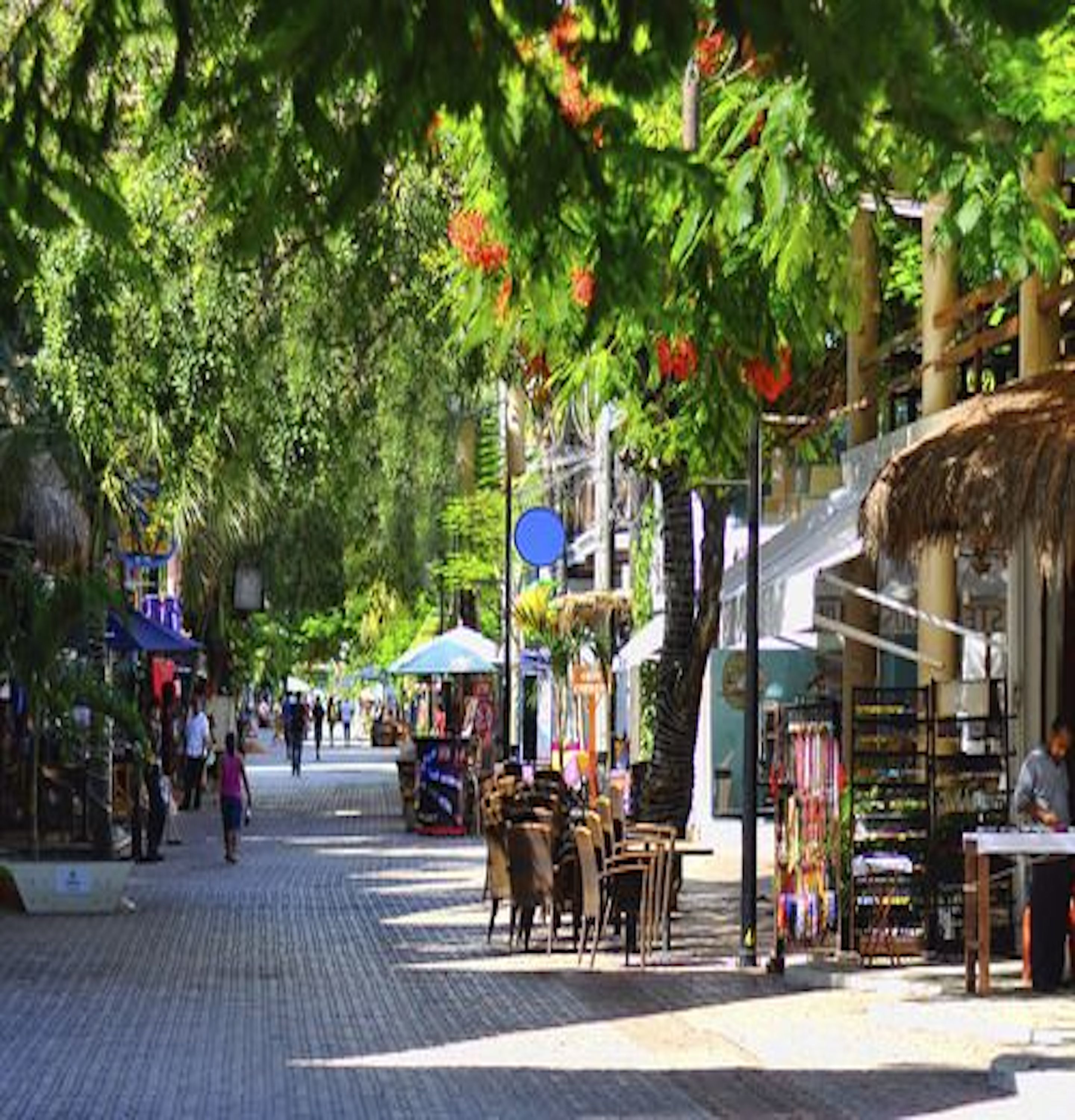 Acanto Playa del Carmen, Trademark Collection by Wyndham Acanto Playa del Carmen, Trademark Collection by Wyndham