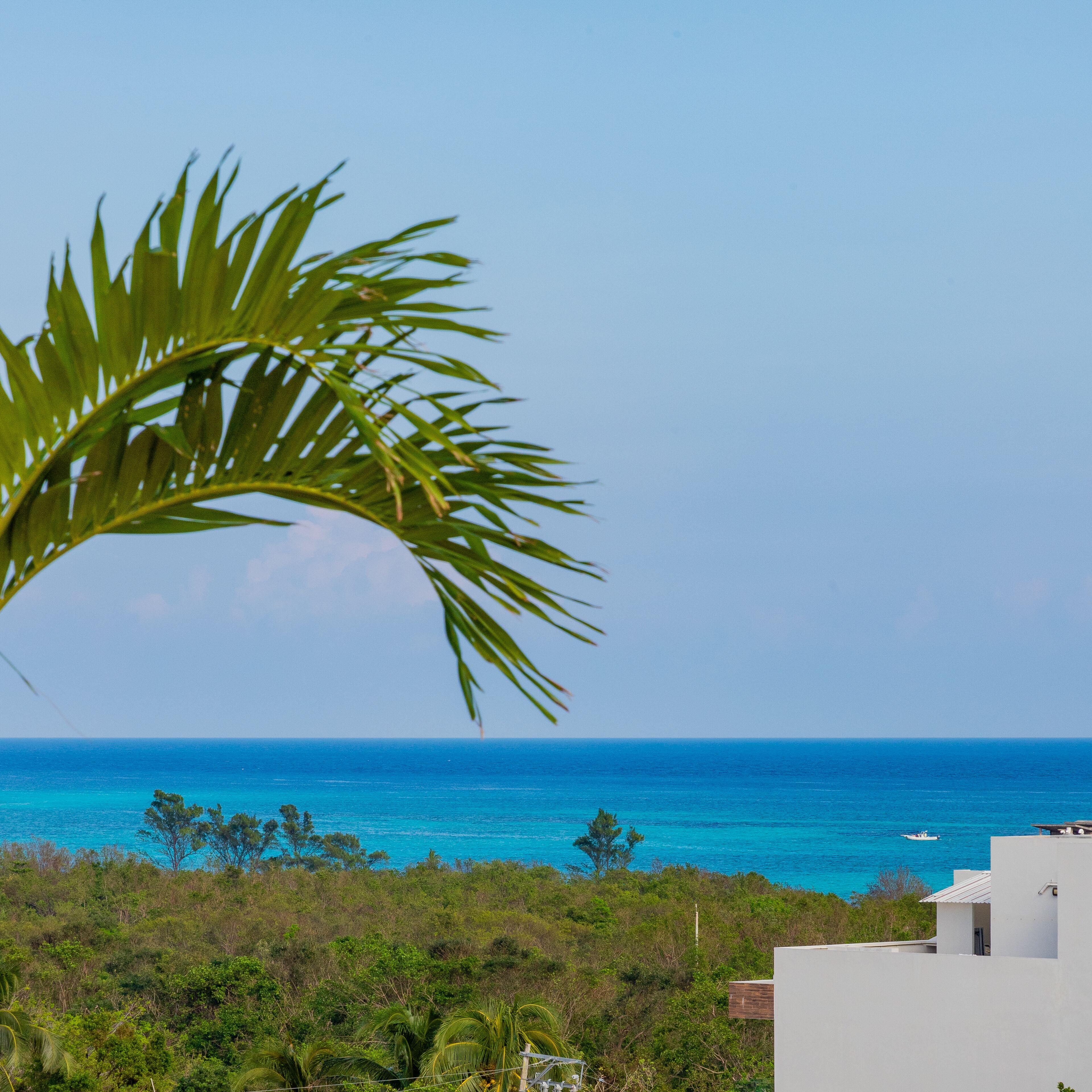 Terrasse Hotel Playa del Carmen Terrasse Hotel Playa del Carmen