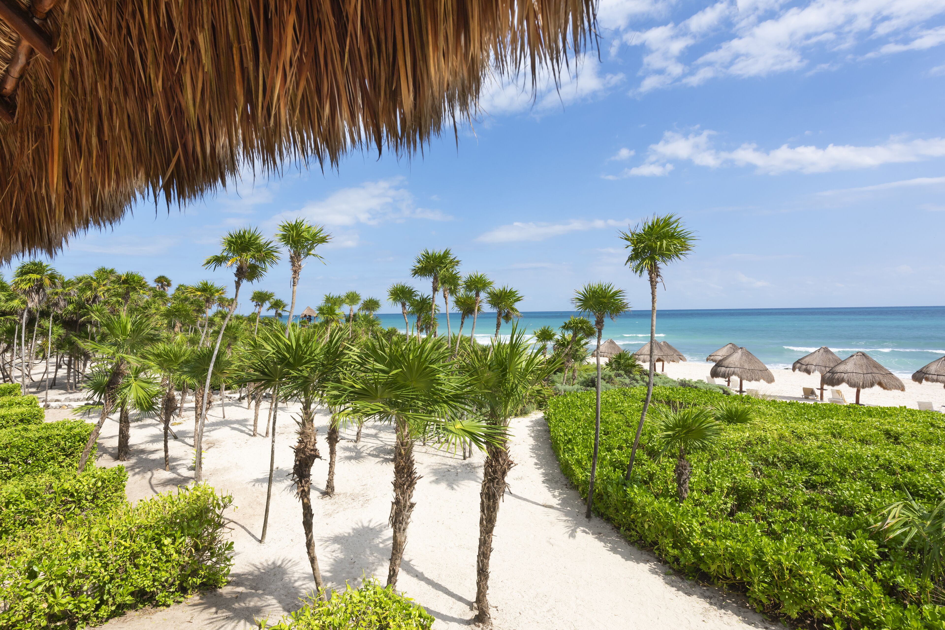 Valentin Imperial Riviera Maya Valentin Imperial Riviera Maya